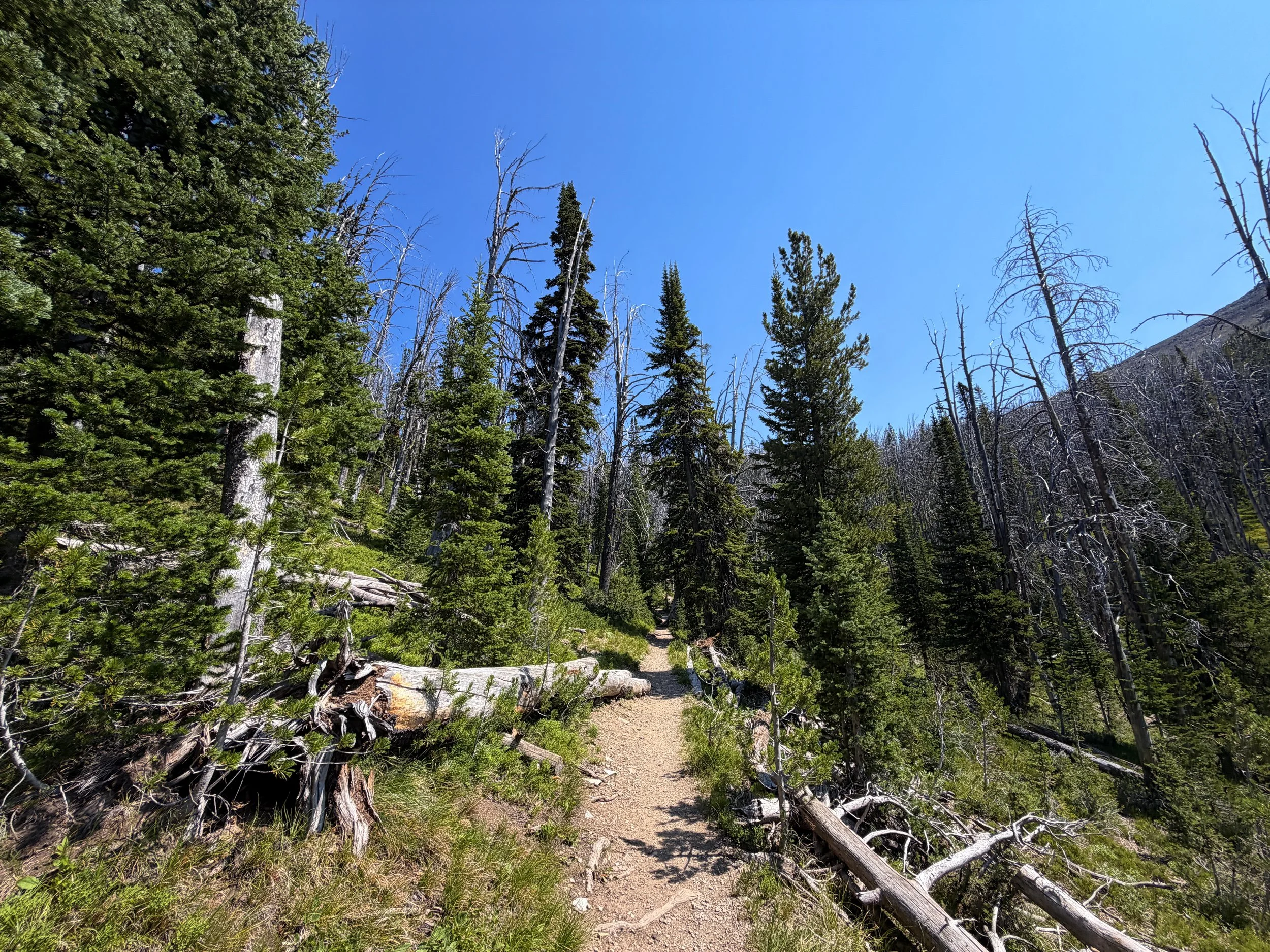 Avalanche Peak Hike Yellowstone National Park Wyoming