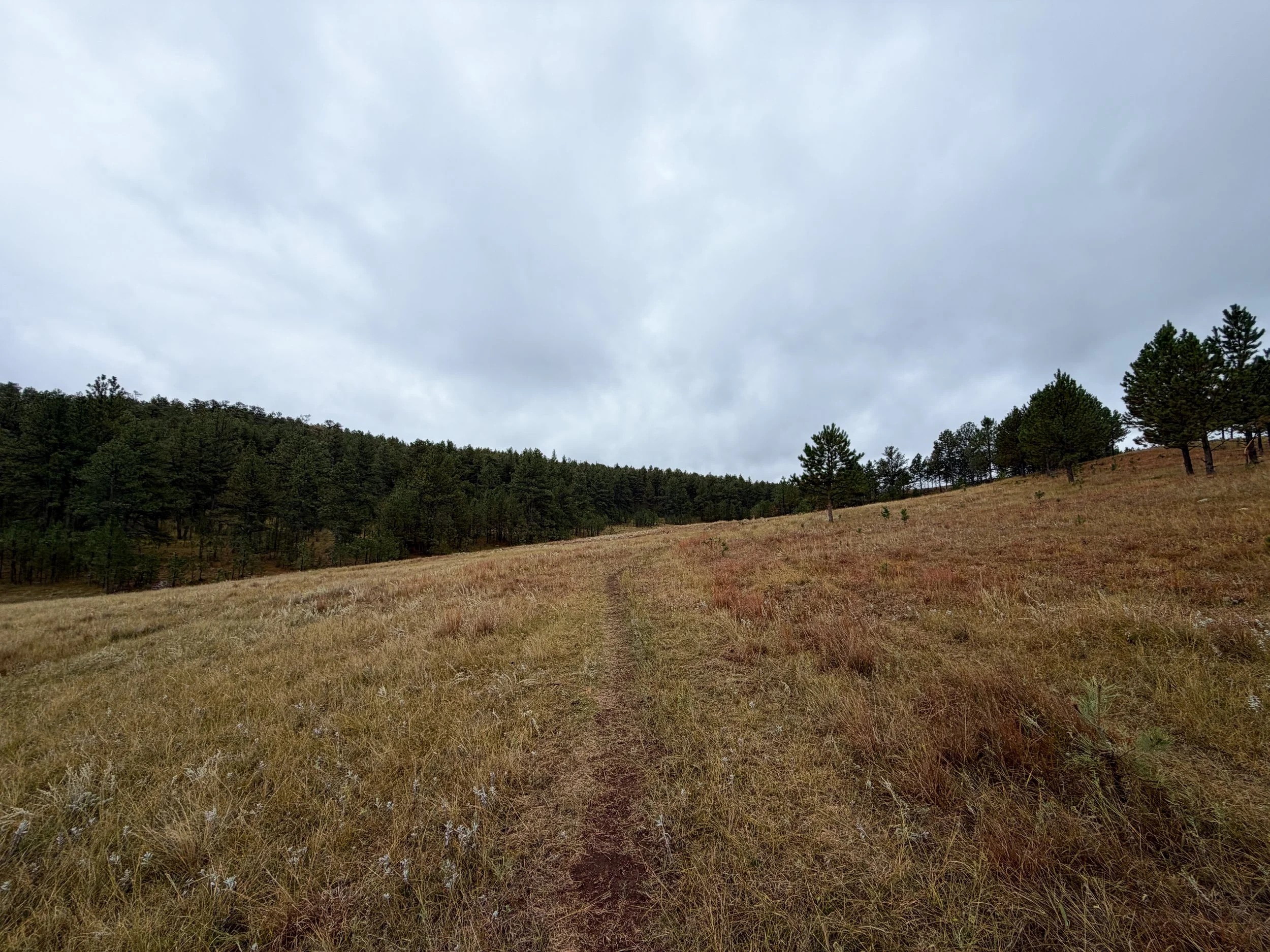 Highland Creek Hike Wind Cave National Park South Dakota