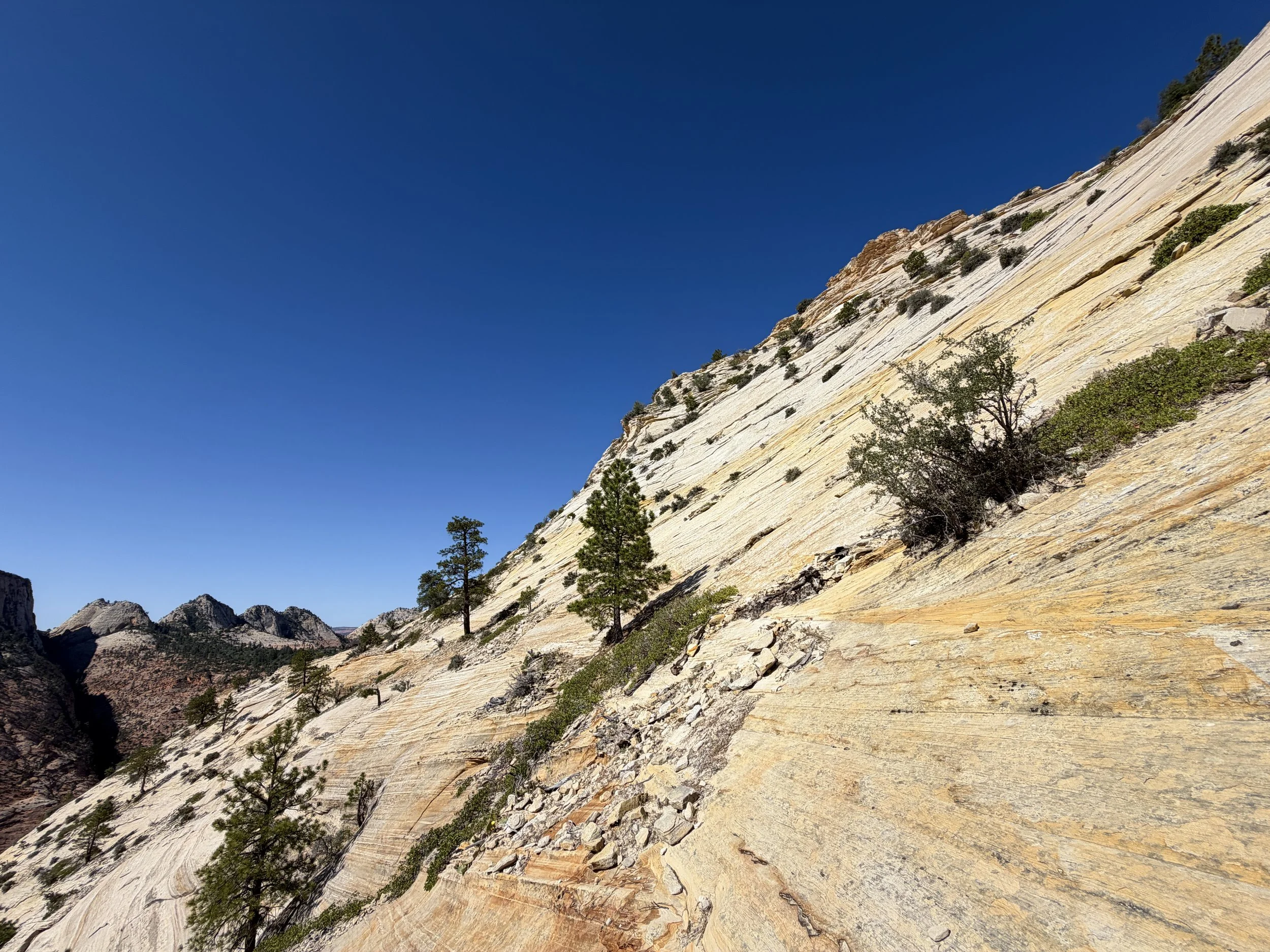 South Ariel Peak Trail Zion National Park Utah
