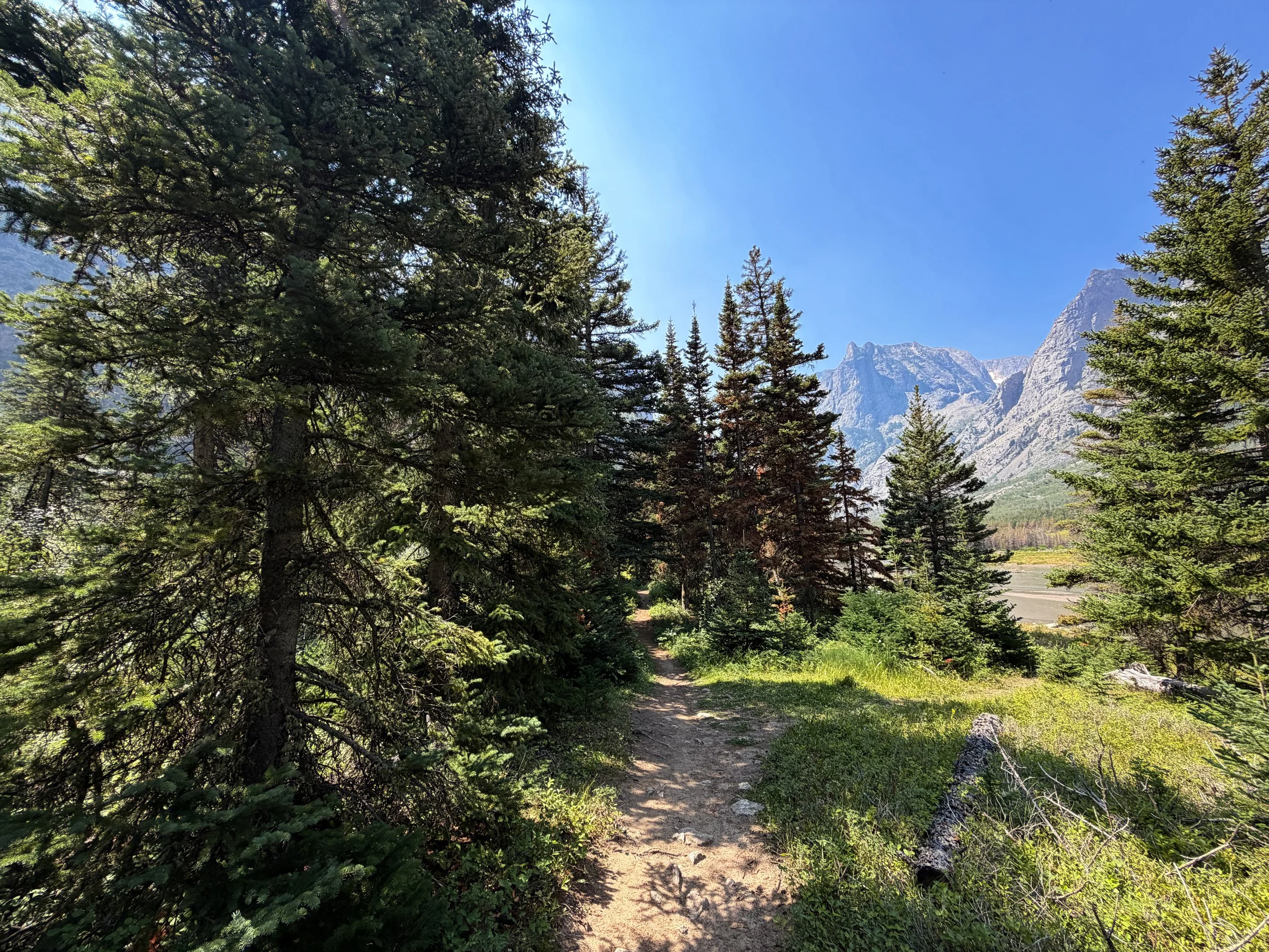 East Rosebud Trail Beaten Path Beartooth Mountains Montana