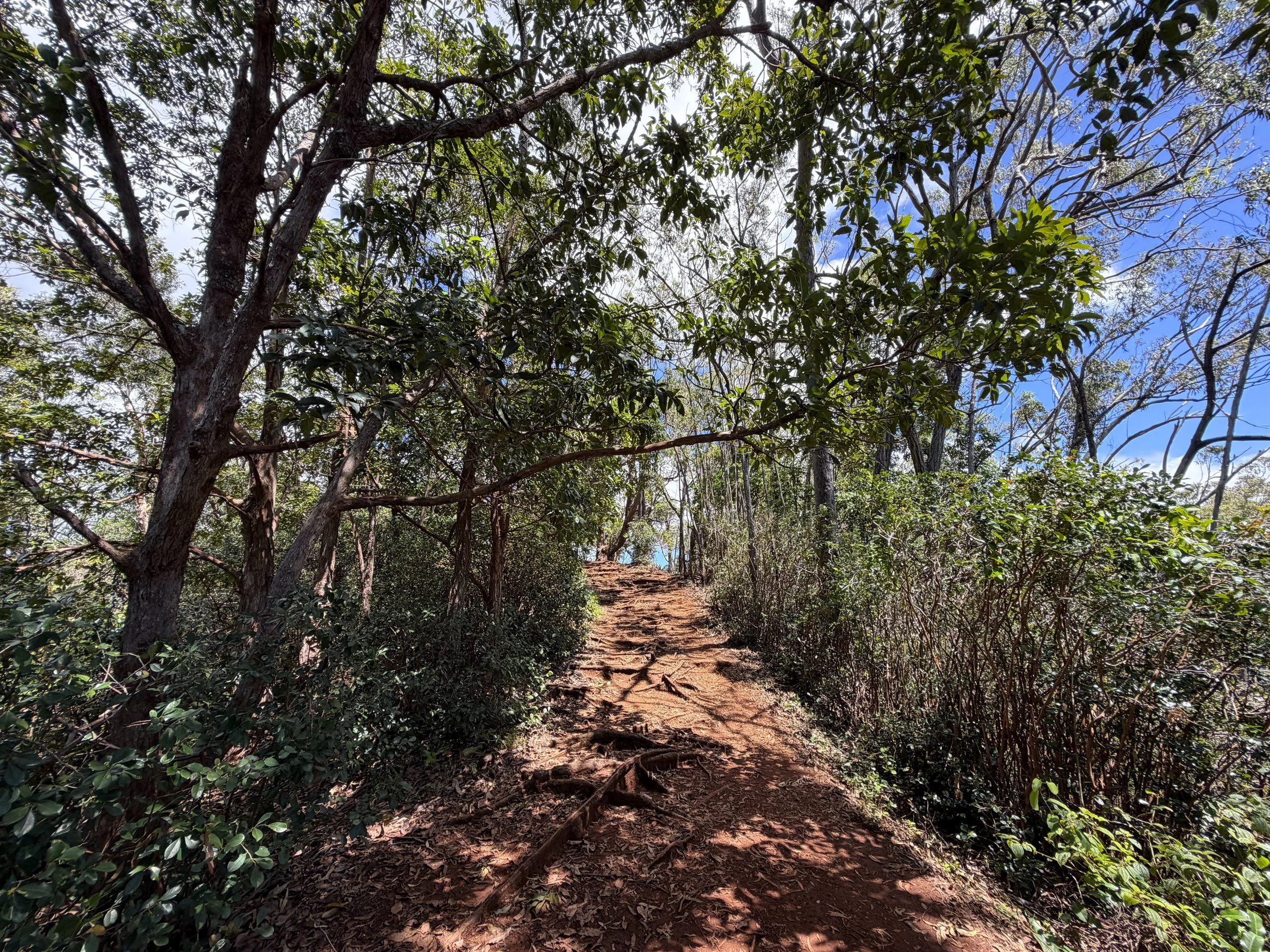 Waimano Pools Hike Oahu Hawaii