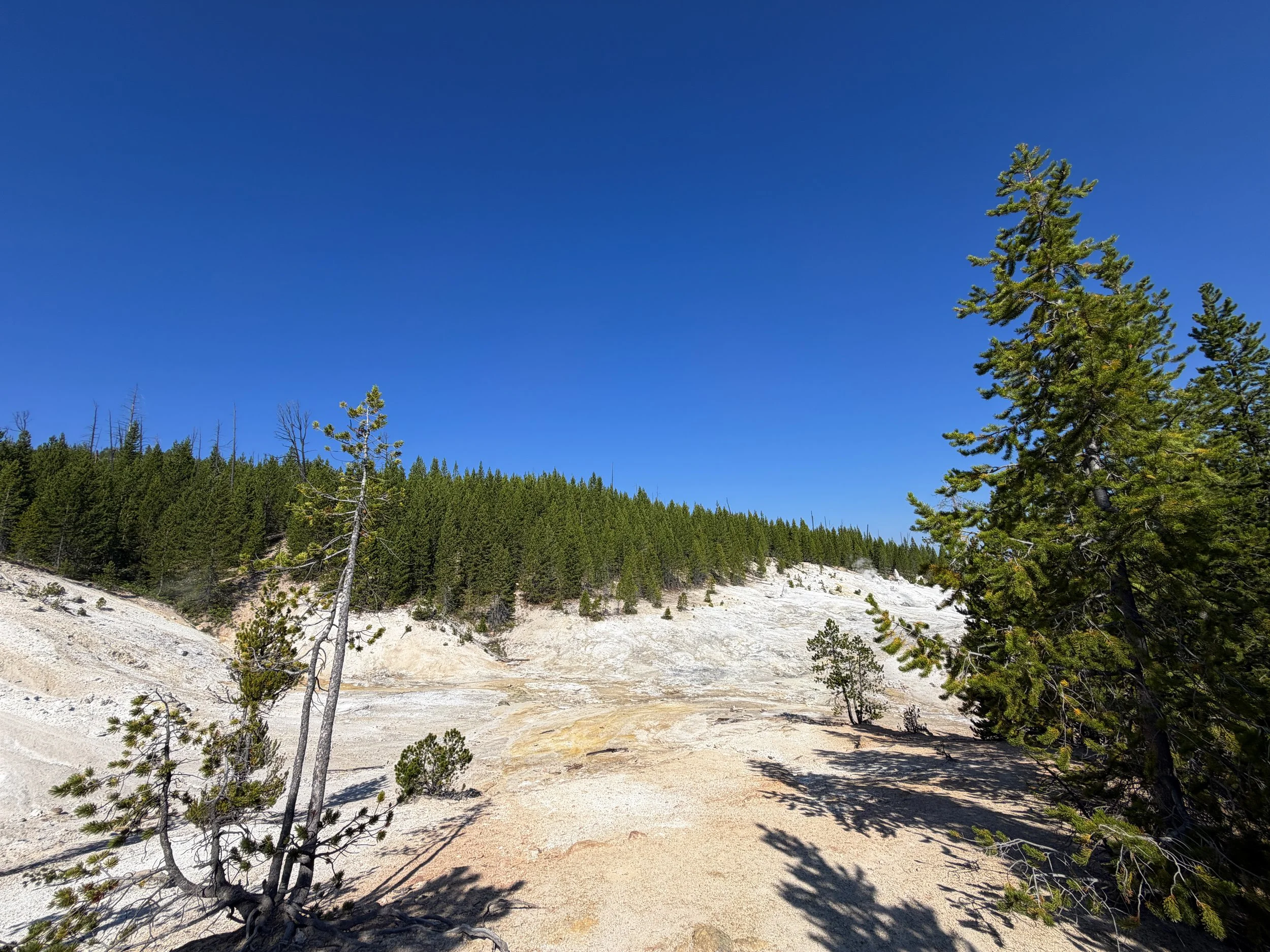 Monument Geyser Basin Yellowstone National Park Wyoming