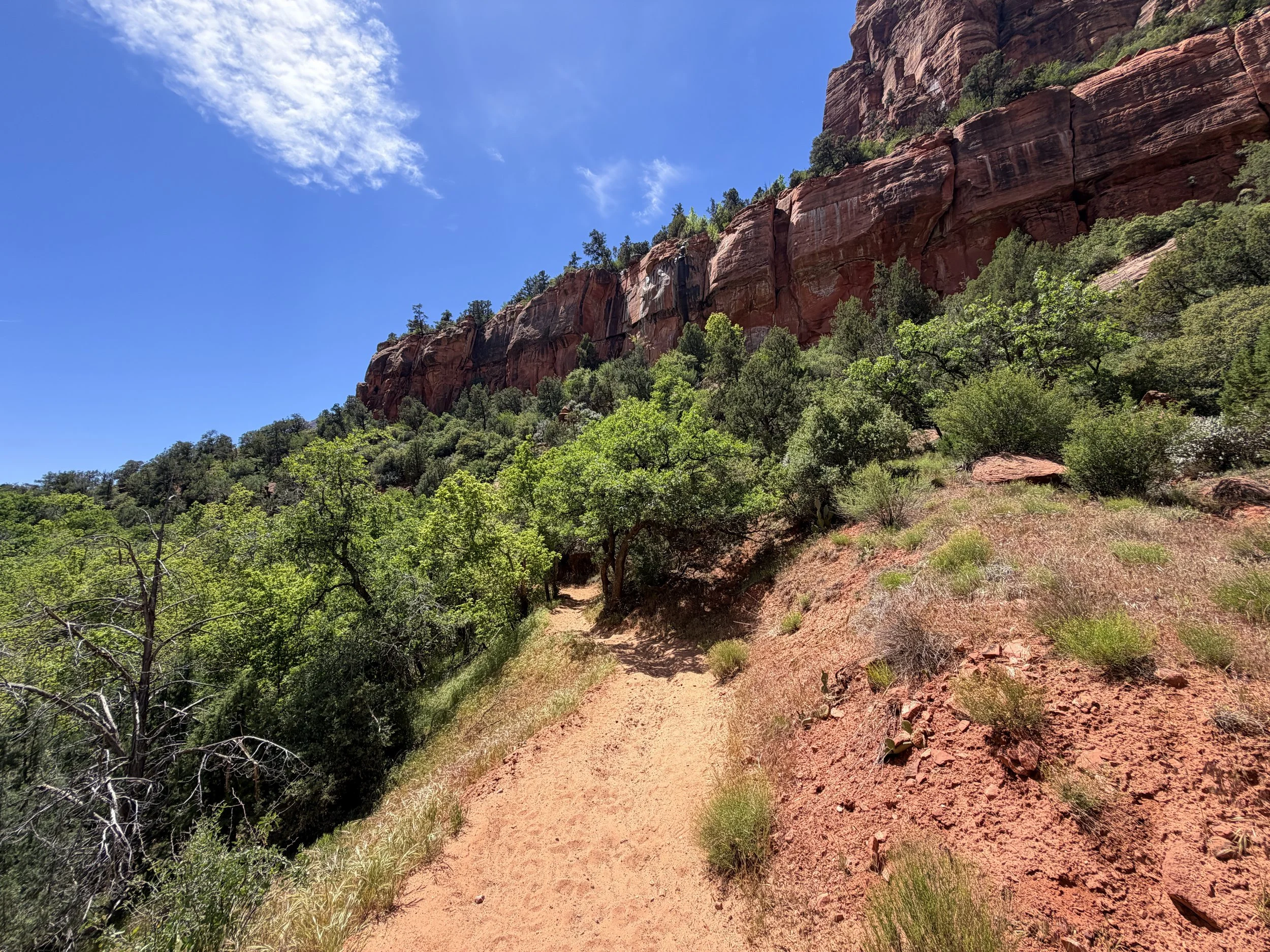 Sand Bench Trail Zion National Park Utah
