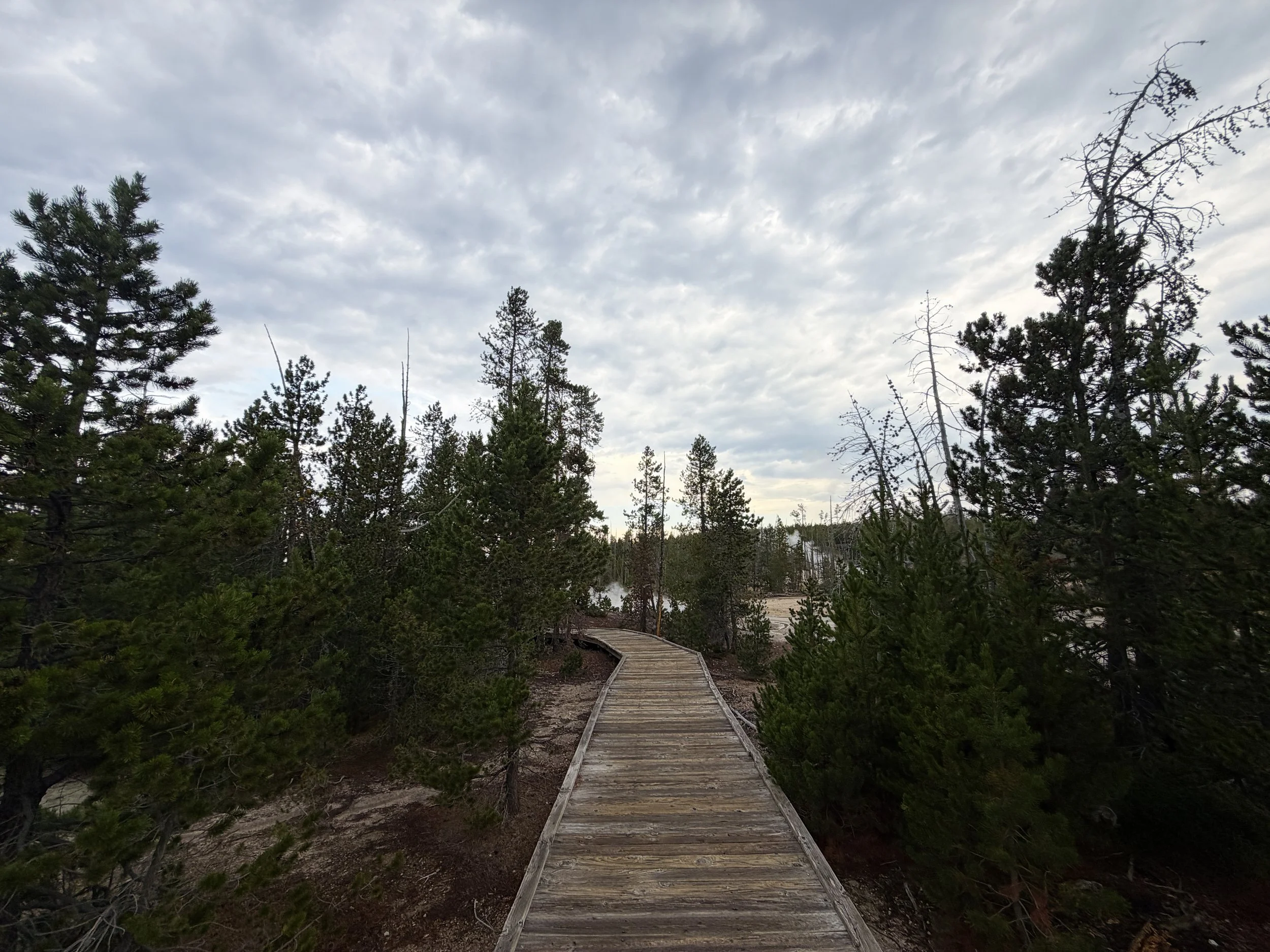 Norris Geyser Basin Loop Trail Yellowstone National Park Wyoming