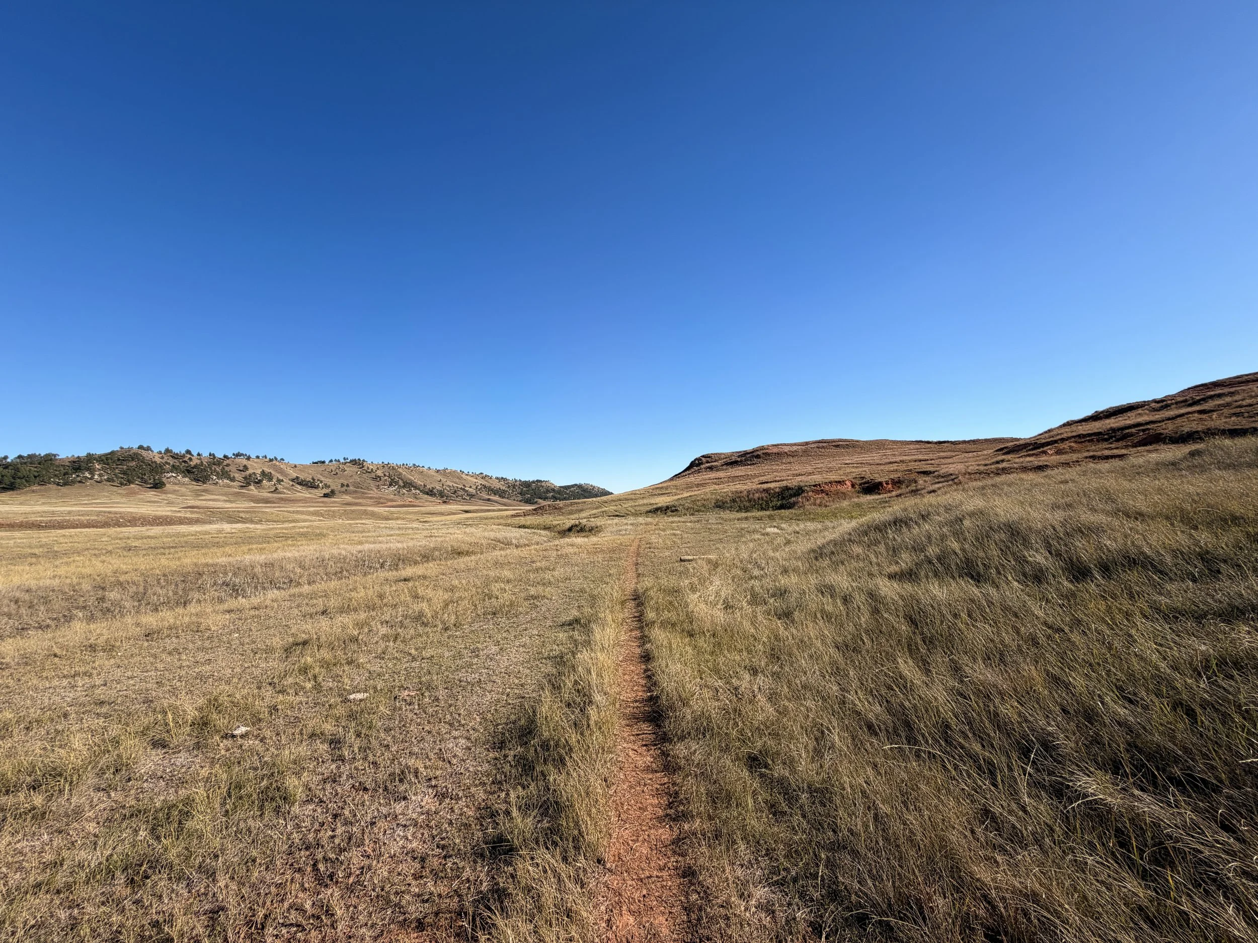 Boland Ridge Trail Wind Cave National Park South Dakota