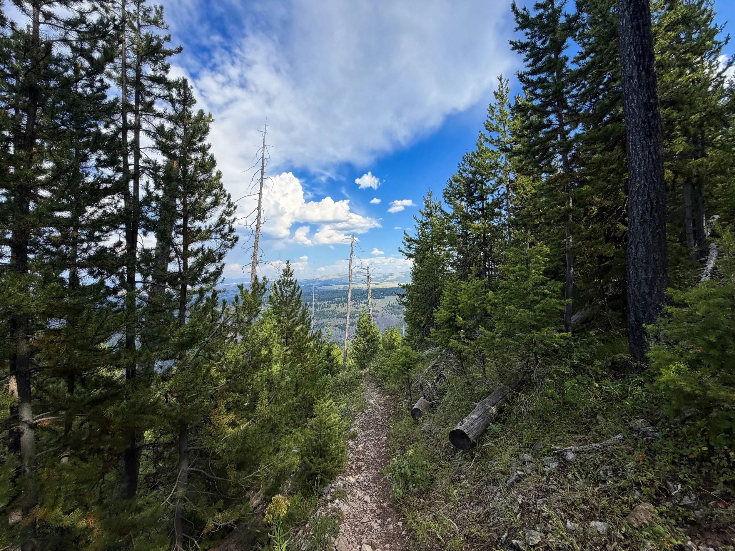 Bunsen Peak Trail Yellowstone National Park Wyoming
