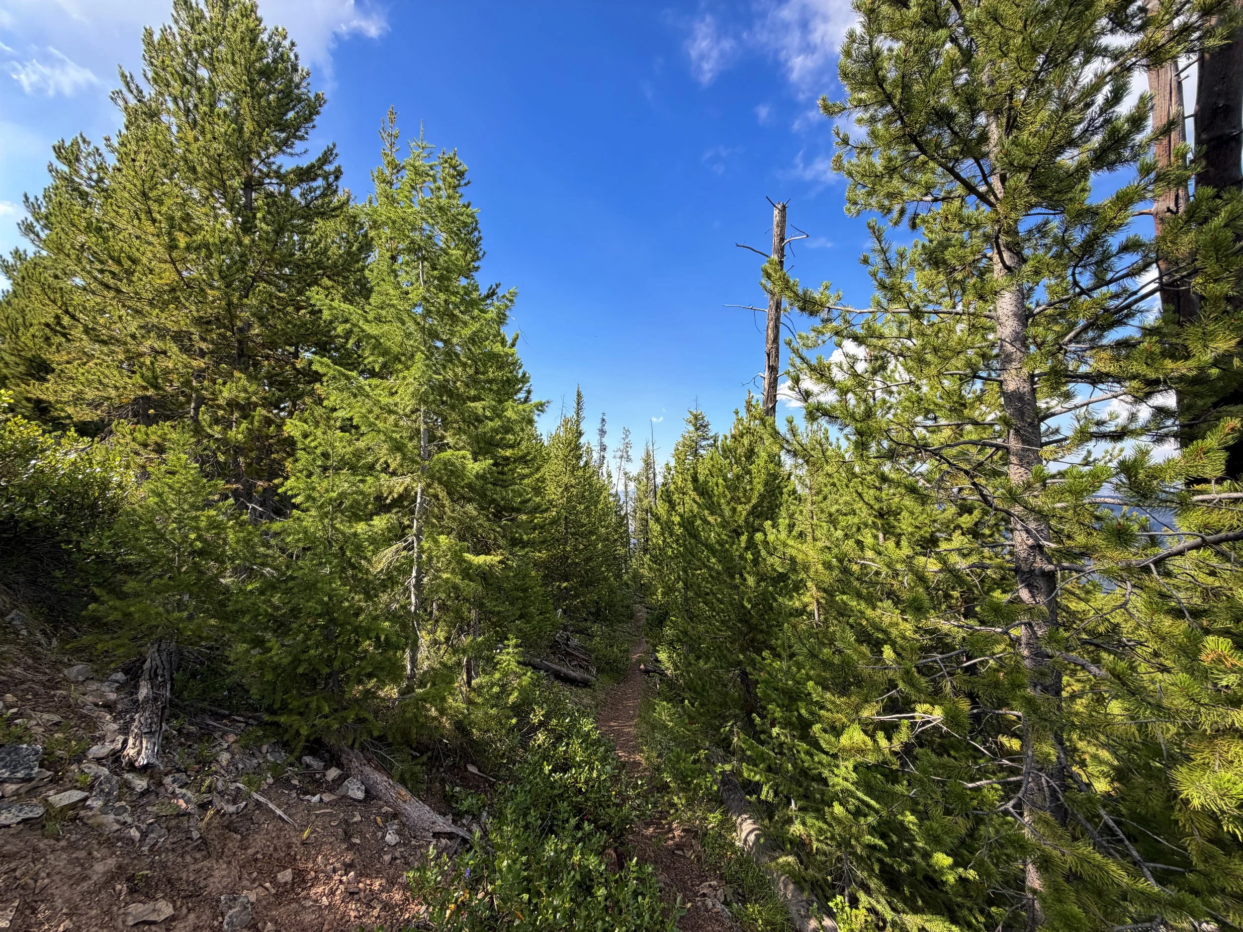 Bunsen Peak Hike Yellowstone National Park Wyoming