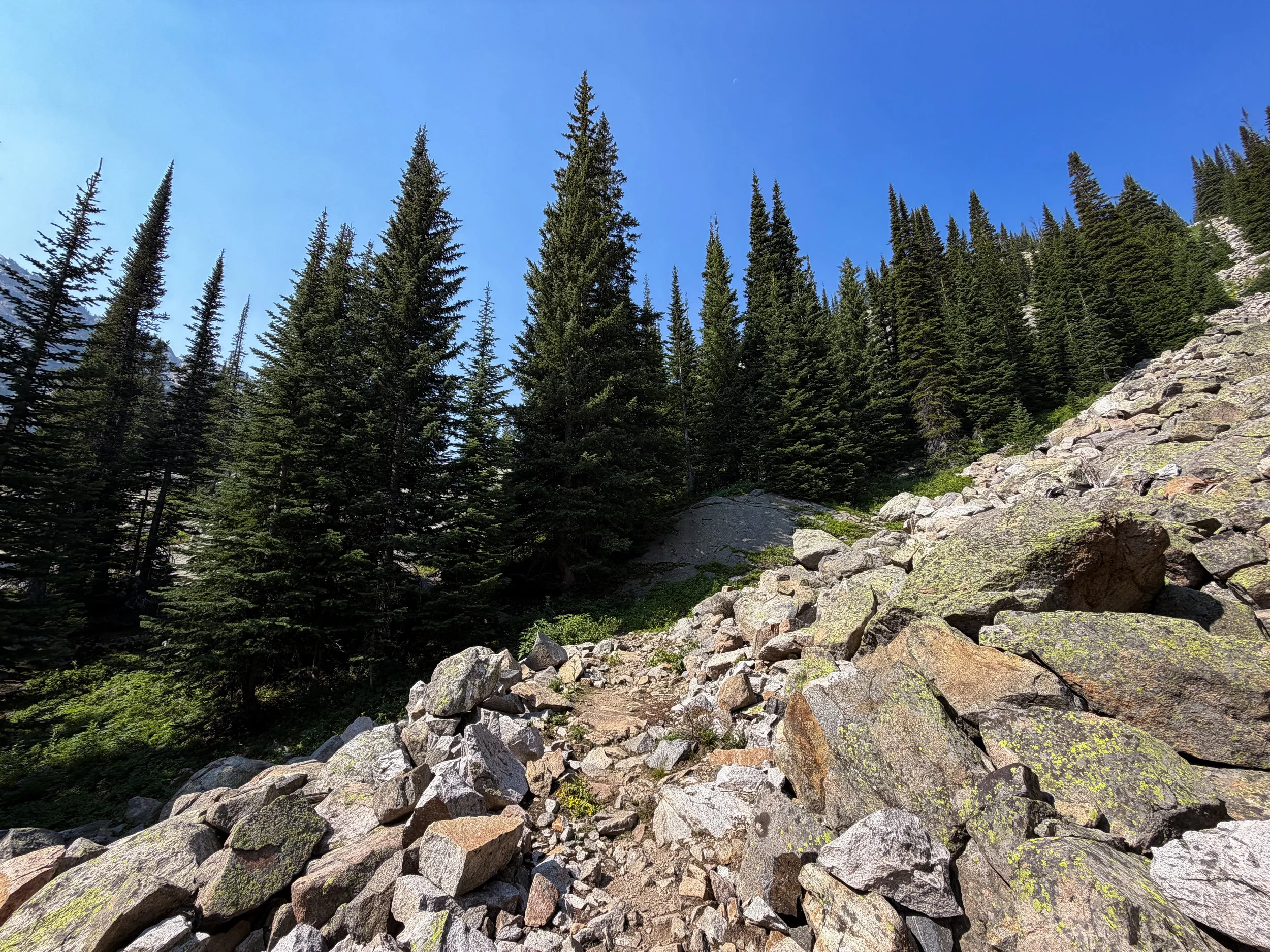 East Rosebud Trail The Beaten Path Beartooth Mountains Montana