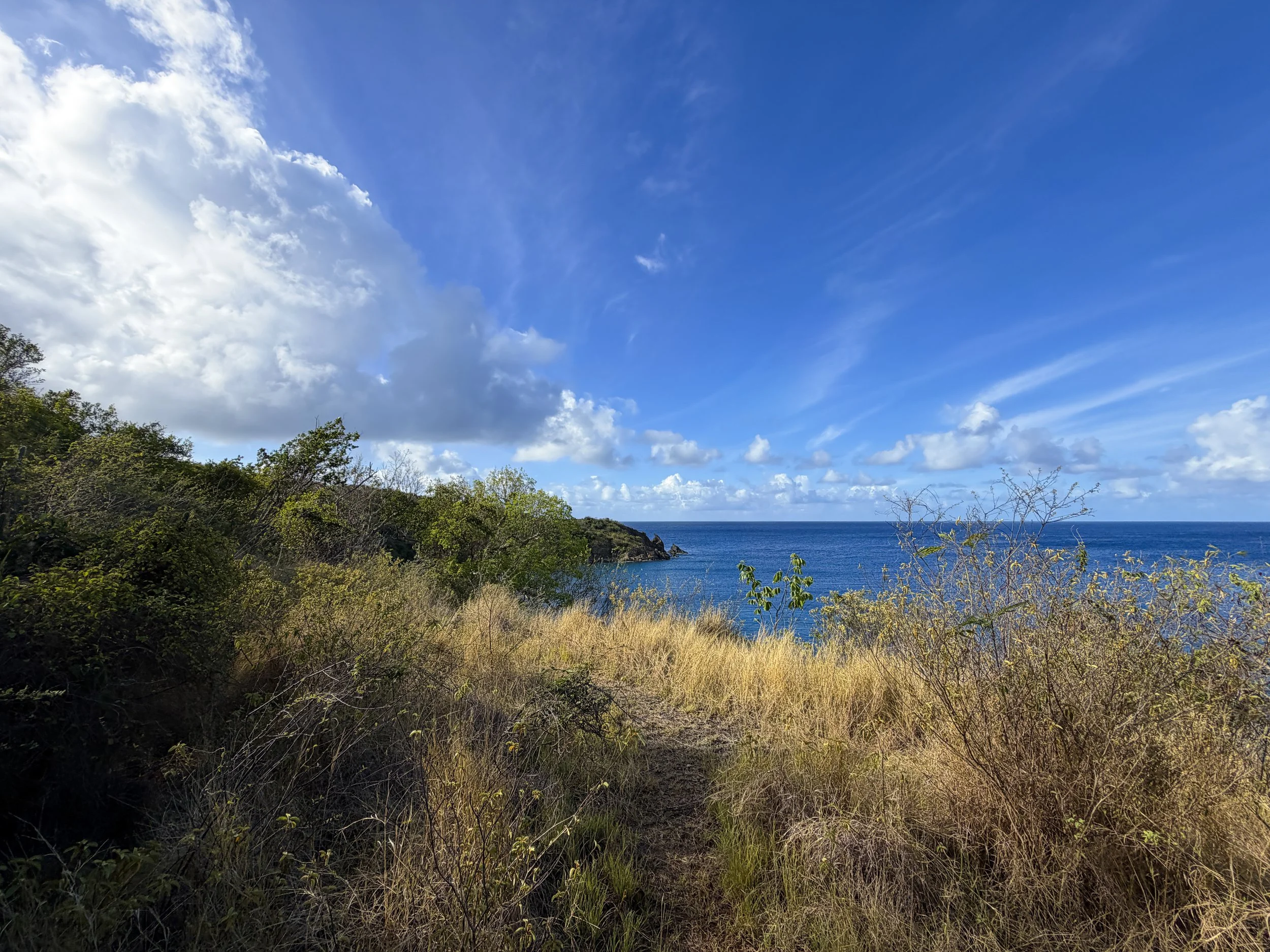 Tektite Trail Virgin Islands National Park
