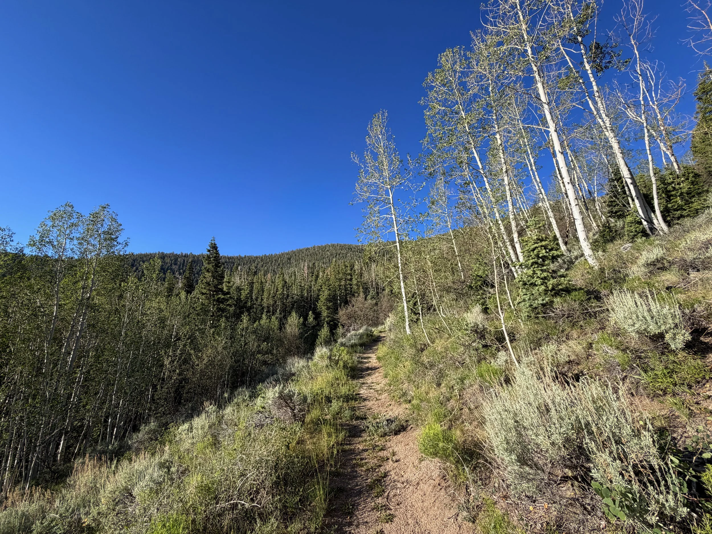 Snake Divide Trail Great Basin National Park Nevada