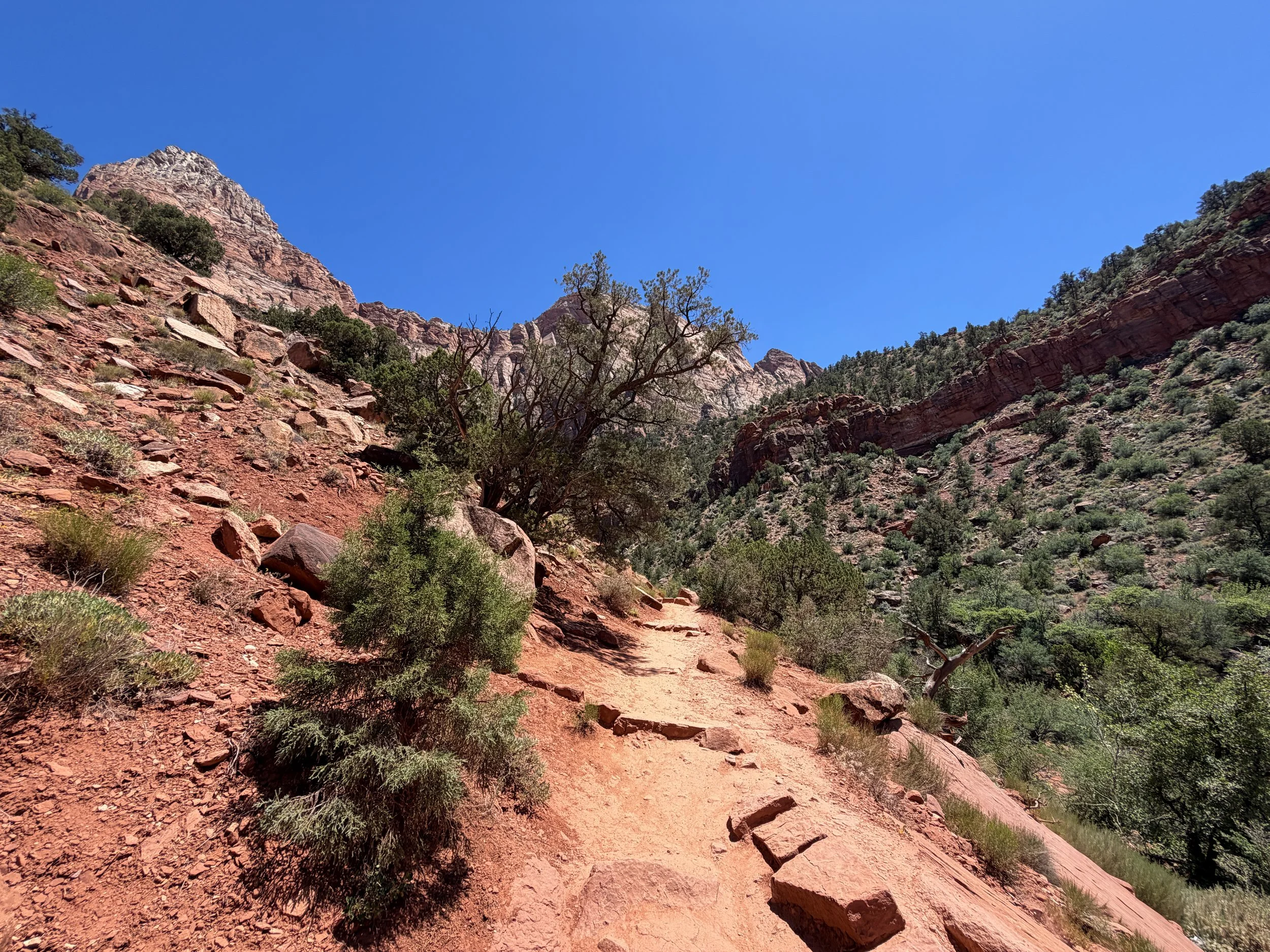 Watchman Hike Zion National Park Utah