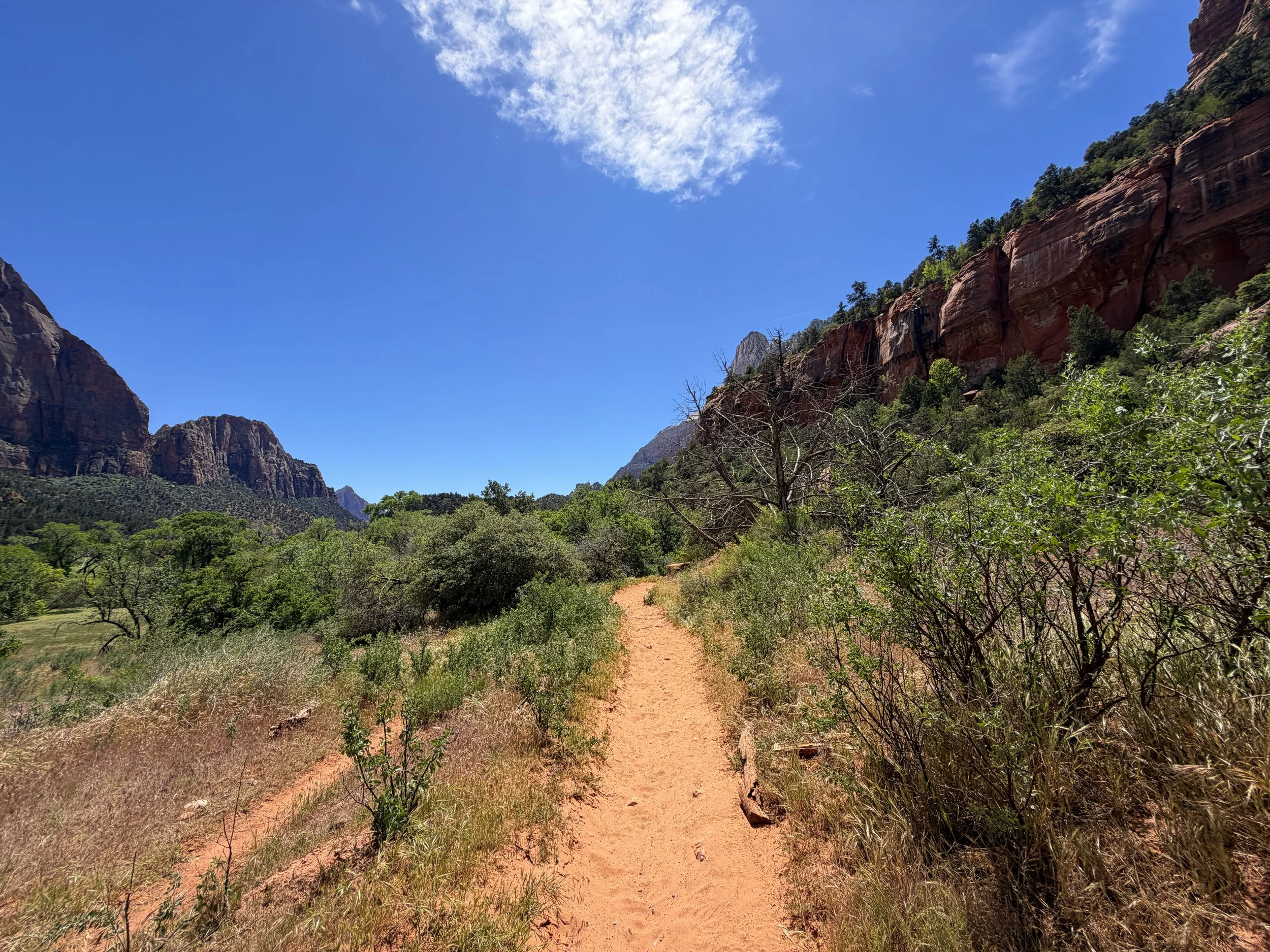 Sand Bench Trail Zion National Park Utah