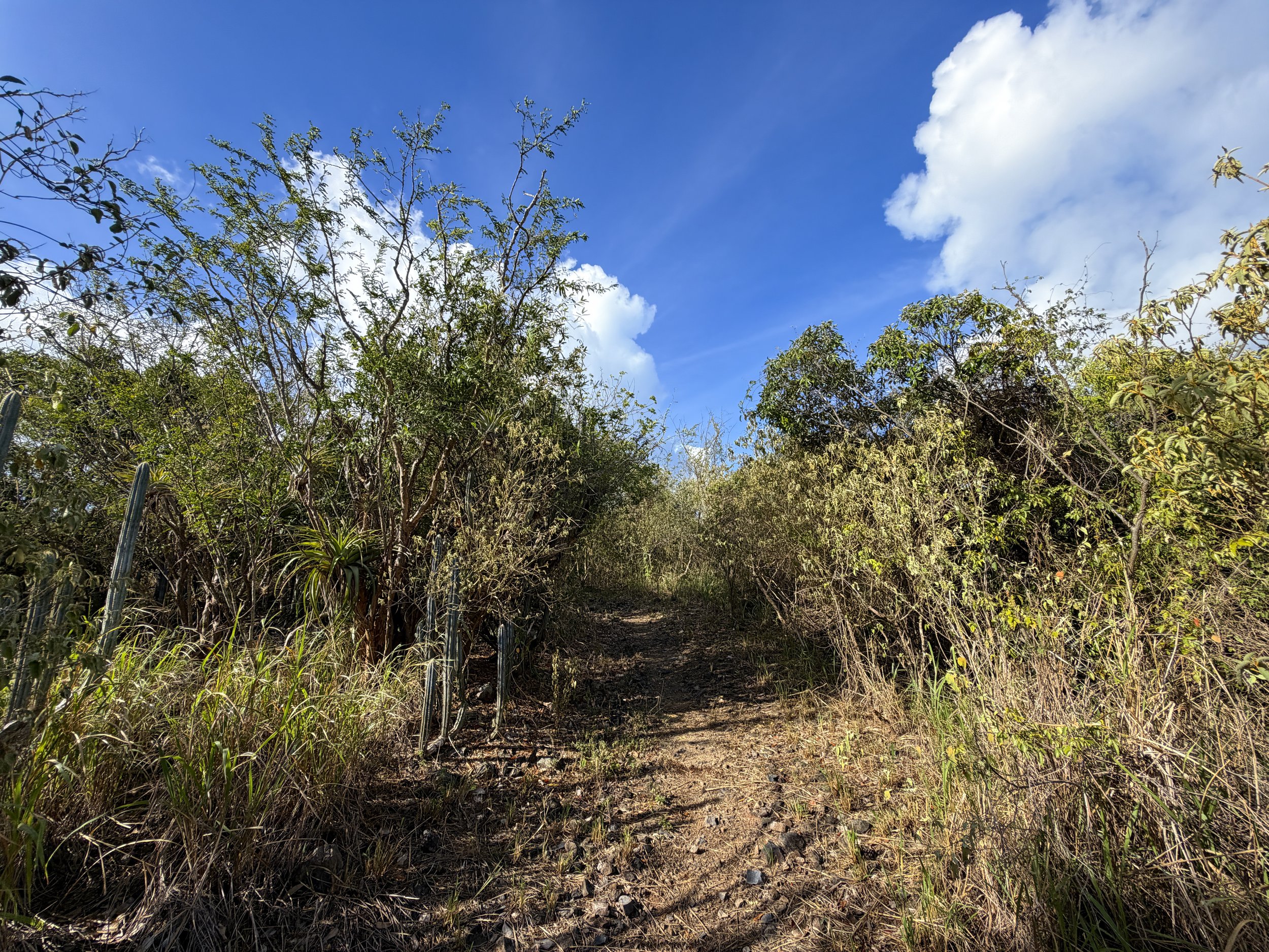 Tektite and Cabritte Horn Trail Virgin Islands National Park