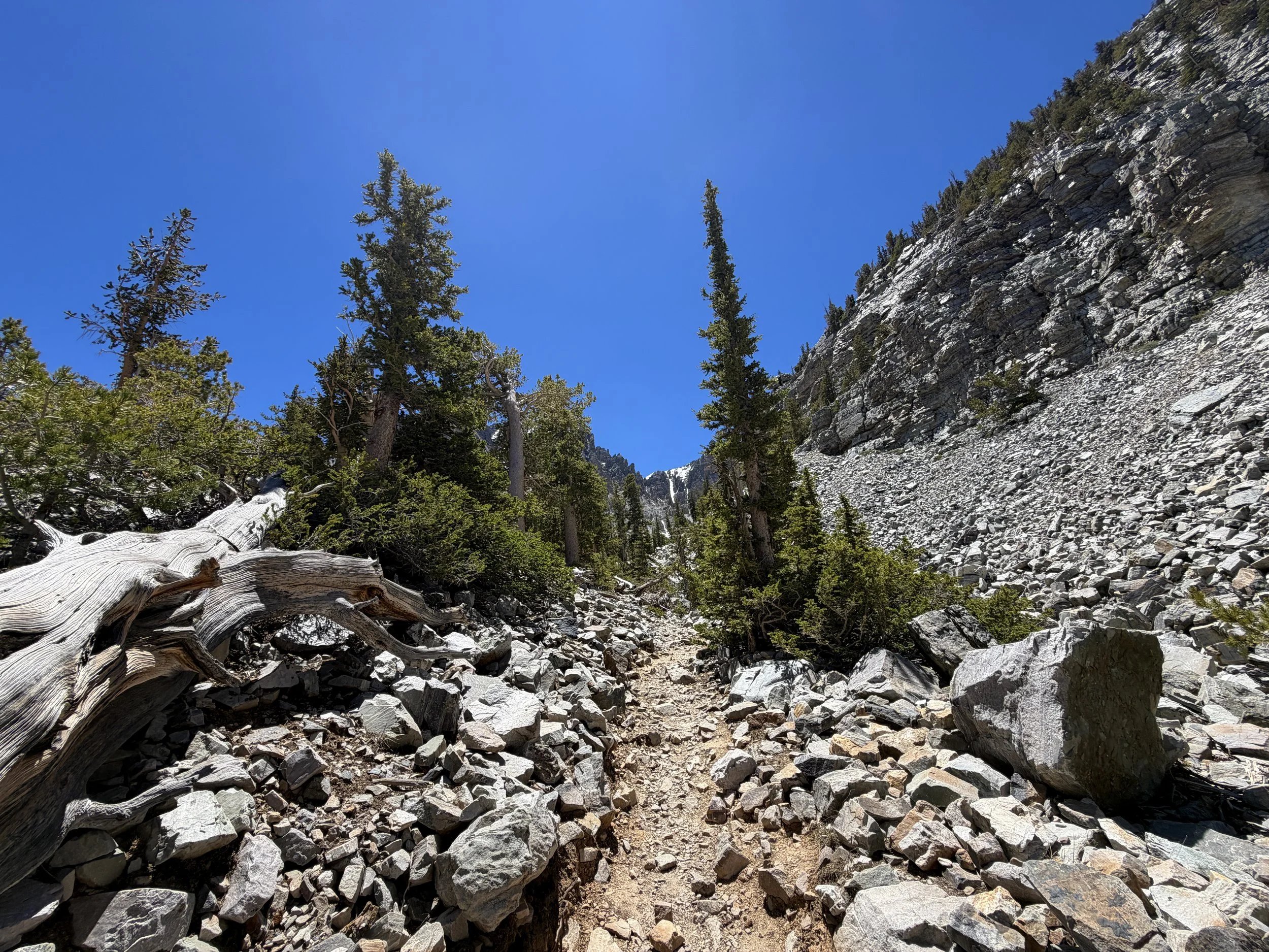 Glacier Trail Great Basin National Park Nevada