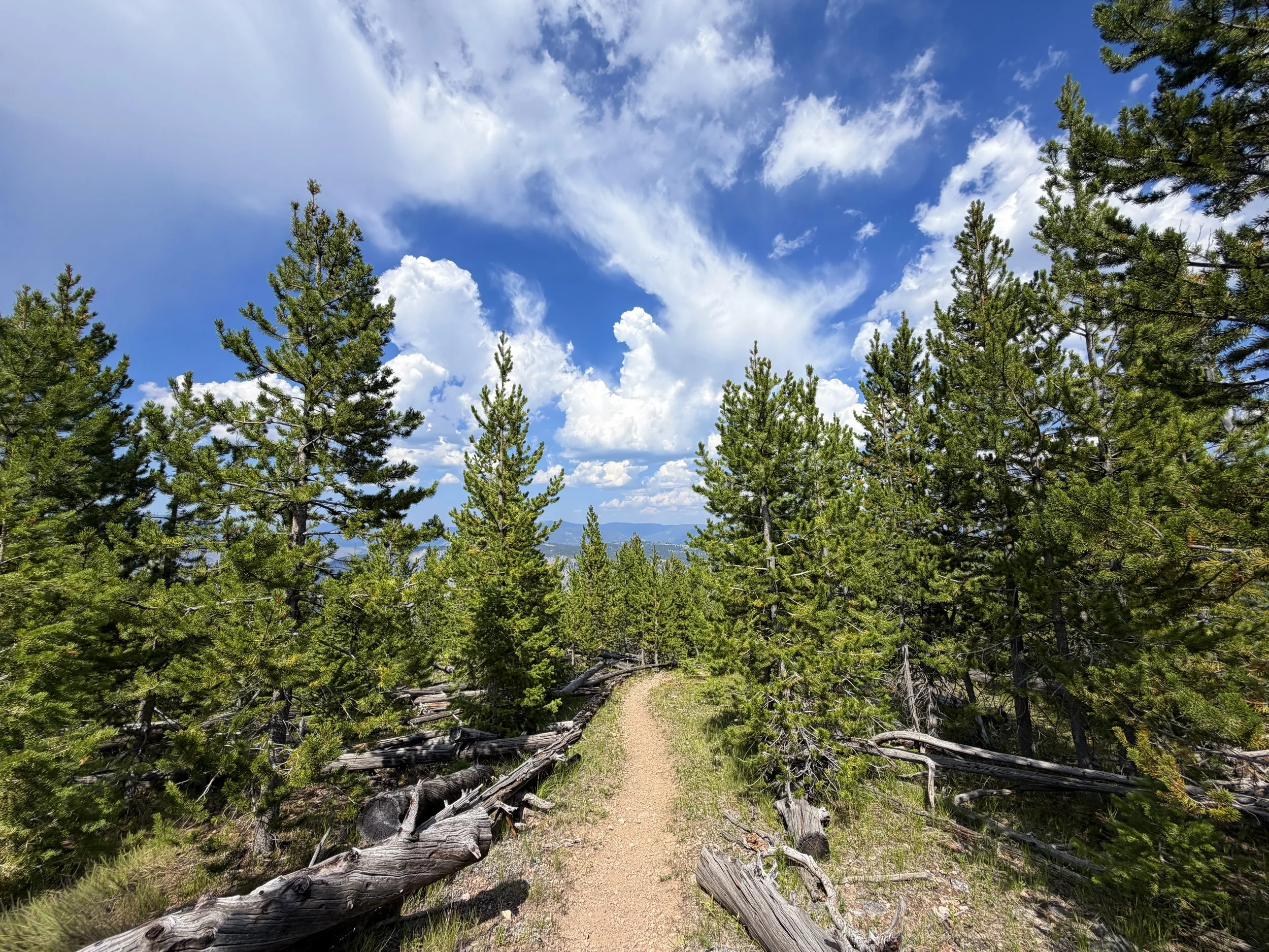 Bunsen Peak Trail Yellowstone National Park Wyoming