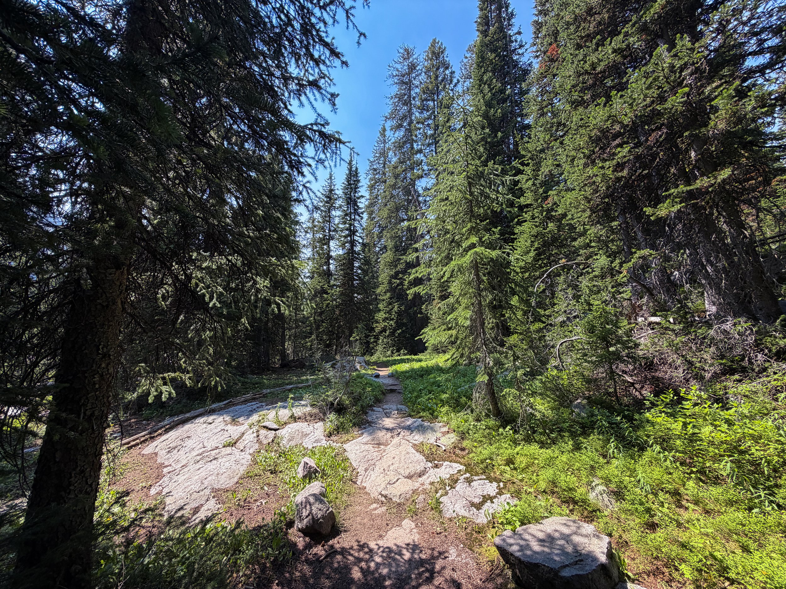 The Beaten Path Trail Beartooth Mountains Montana