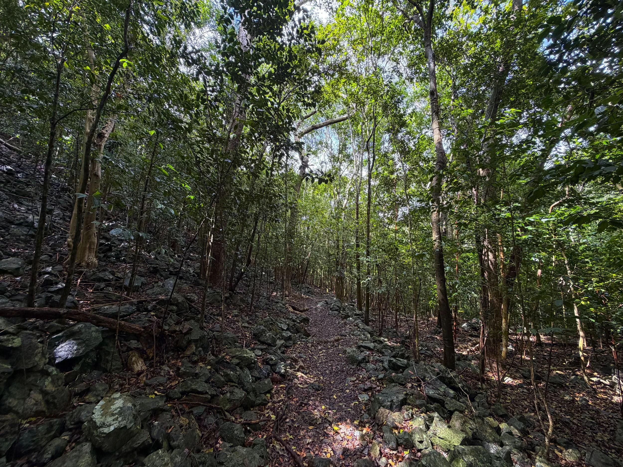Cinnamon Bay Loop Trail Virgin Islands National Park