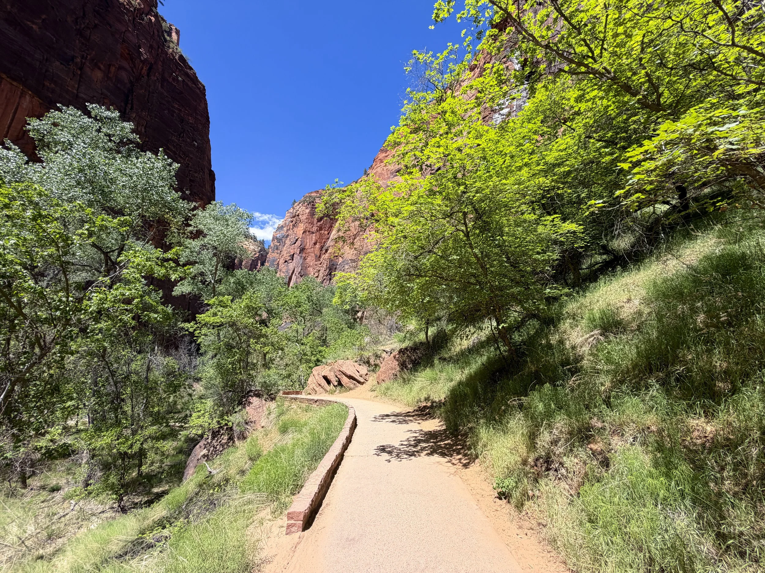 Riverside Walk Hike Zion National Park Utah