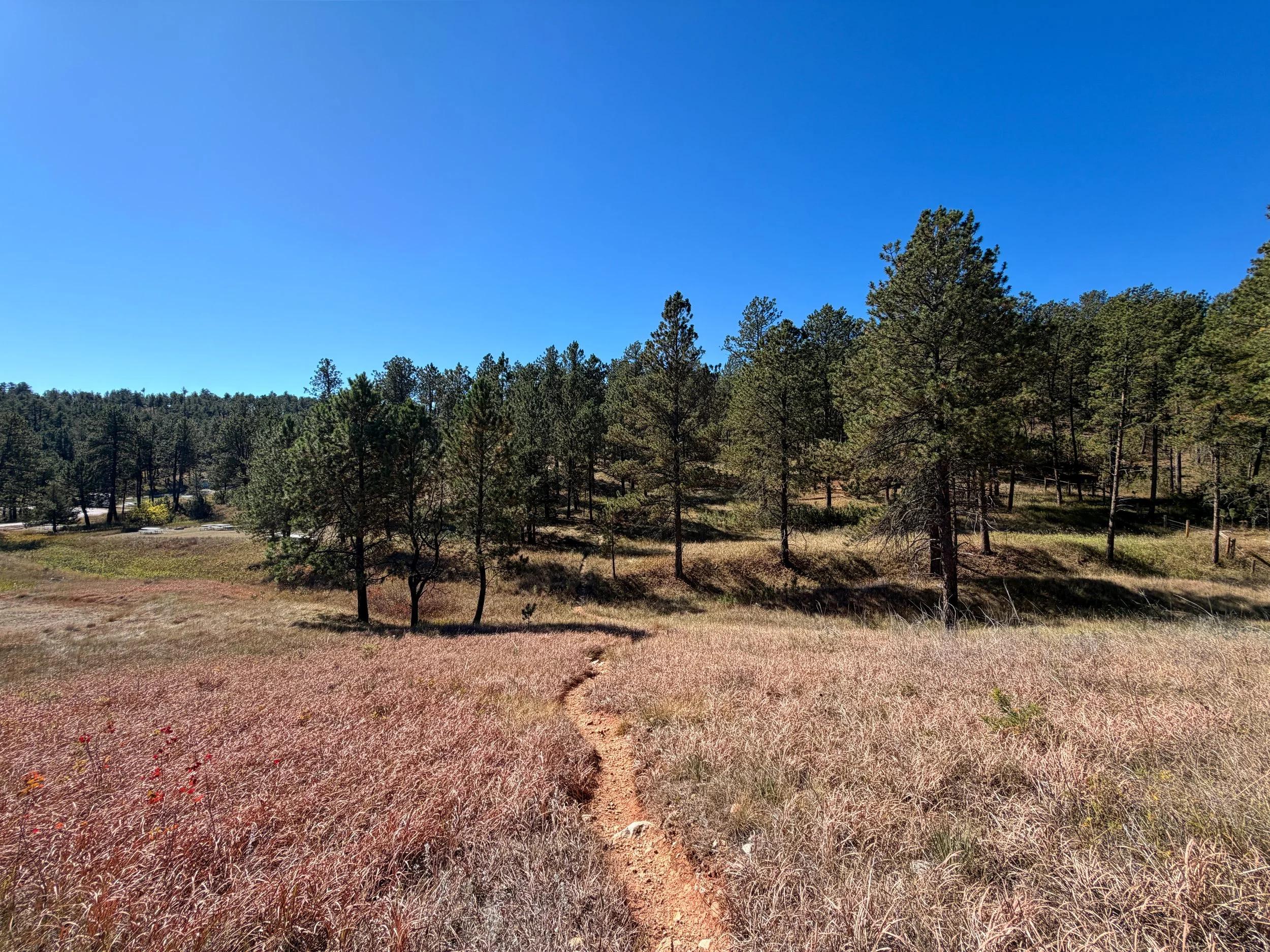 Elk Mountain Nature Loop Trail Wind Cave National Park South Dakota
