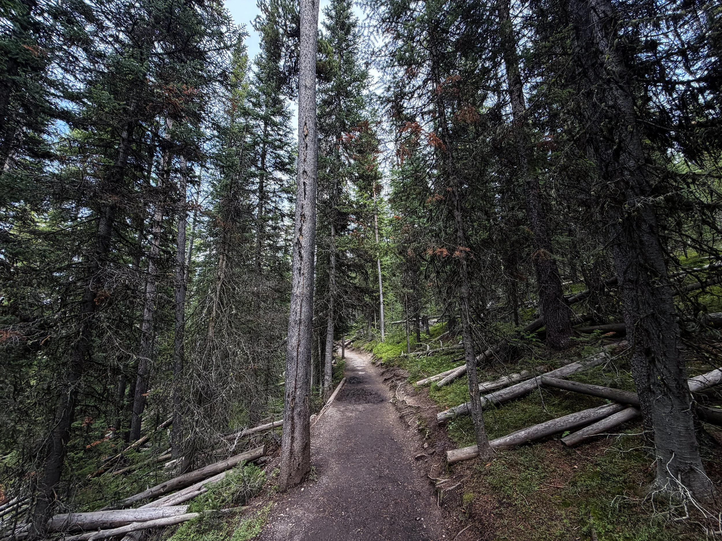 South Rim Trail Yellowstone National Park Wyoming
