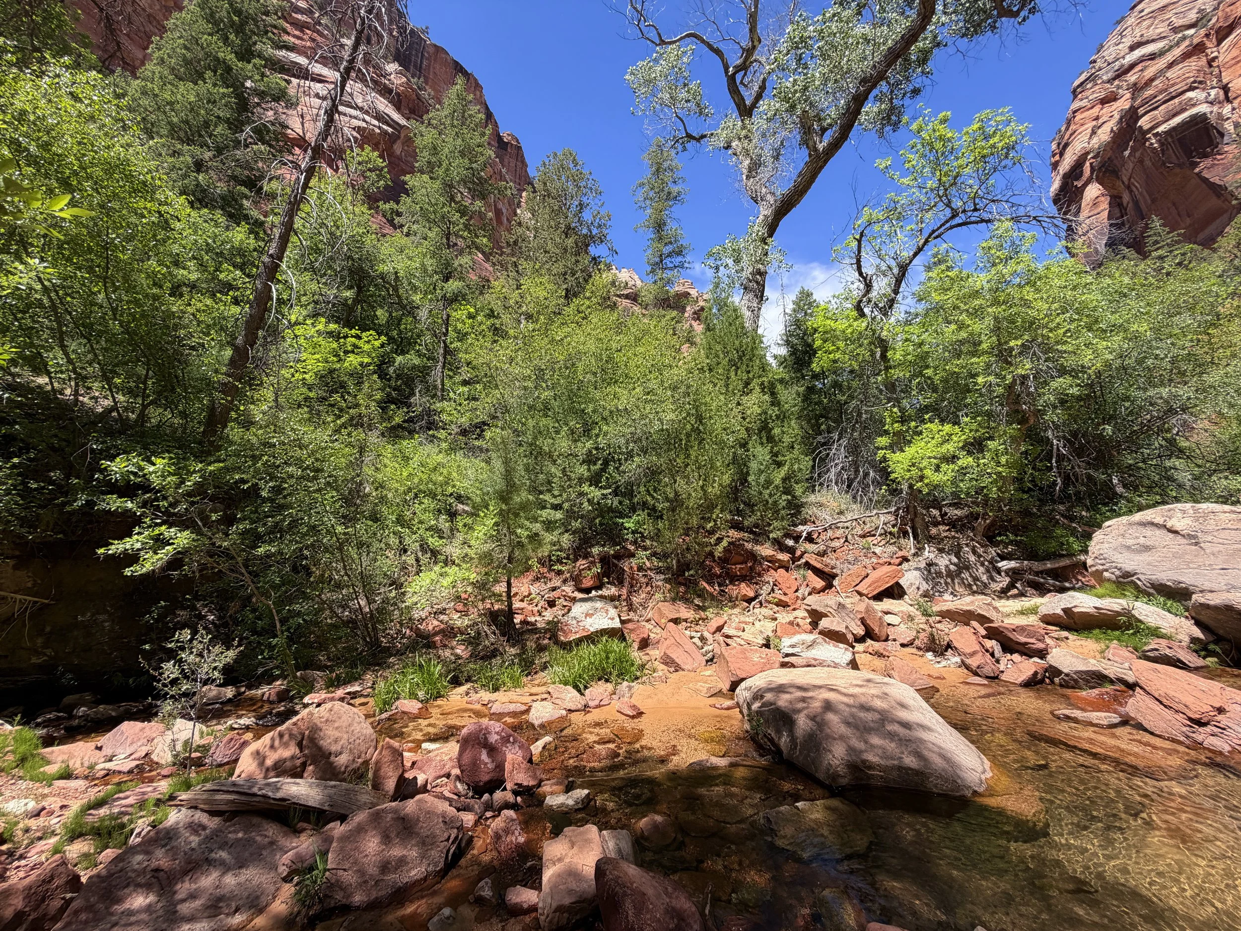 Left Fork North Creek Trail to the Subway Zion National Park Utah