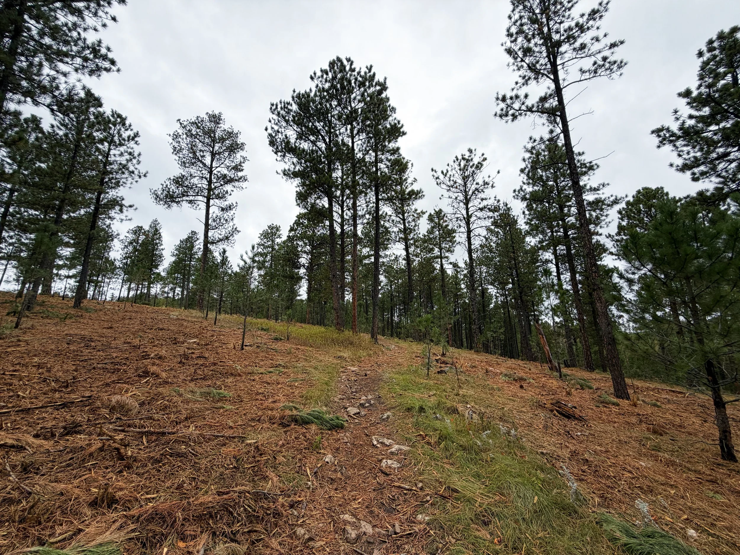 Buzzards Roost Hike Black Hills Rapid City South Dakota