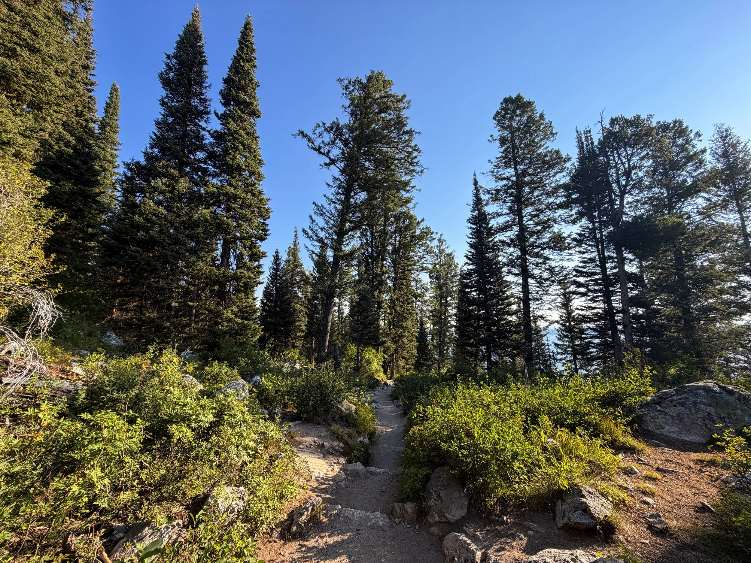 Hidden Falls via Jenny Lake Loop Trail Grand Teton National Park Wyoming