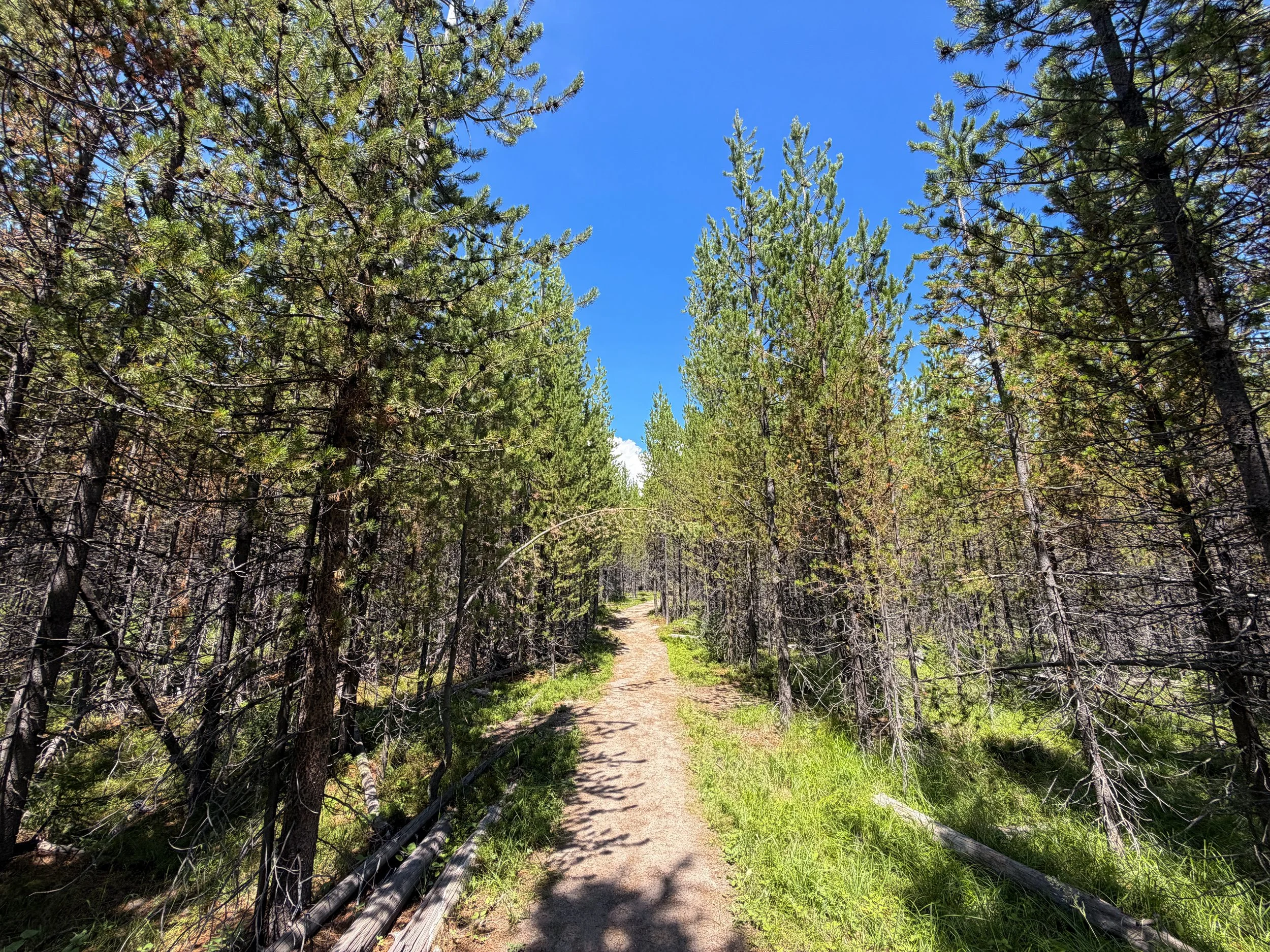 Duck Lake Trail Yellowstone National Park Wyoming