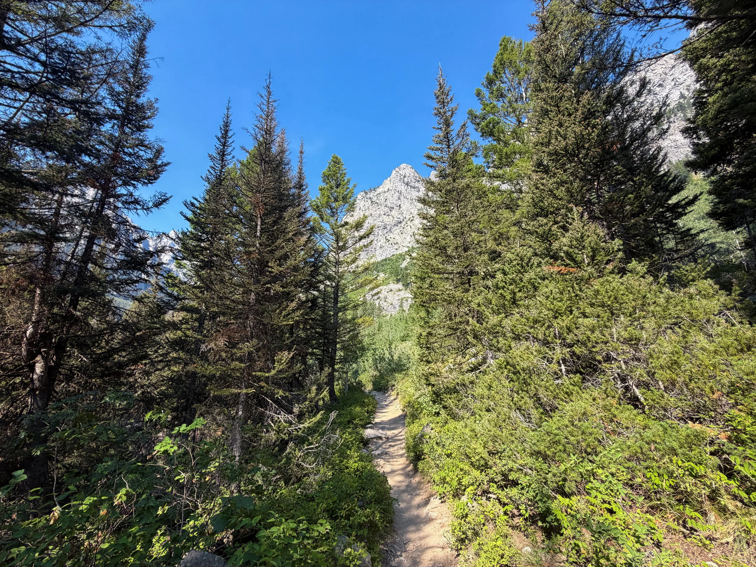 Inspiration Point Trail Grand Teton National Park Wyoming