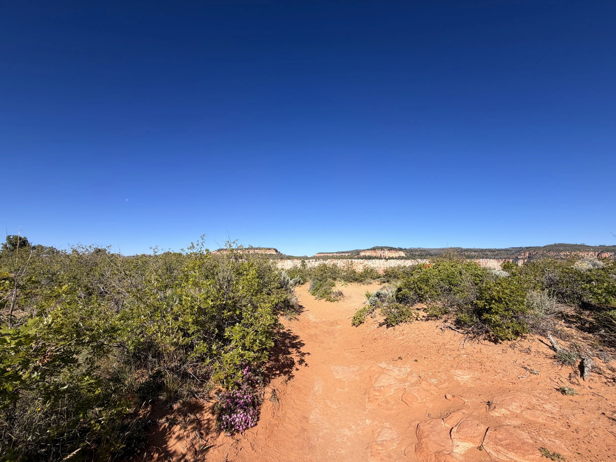 Observation Point Trail Zion National Park Utah