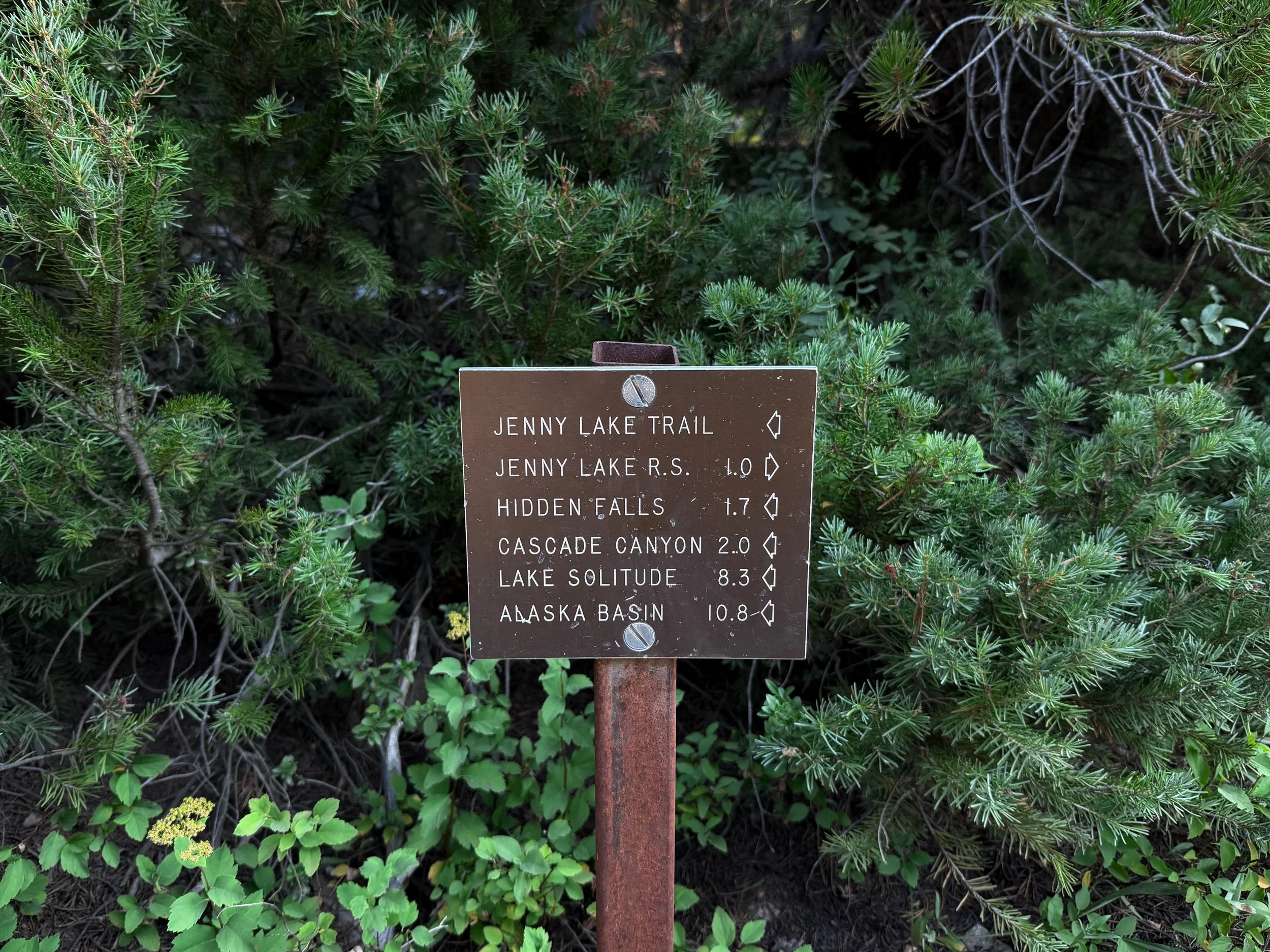 Hidden Falls via Jenny Lake Trail Grand Teton National Park Wyoming