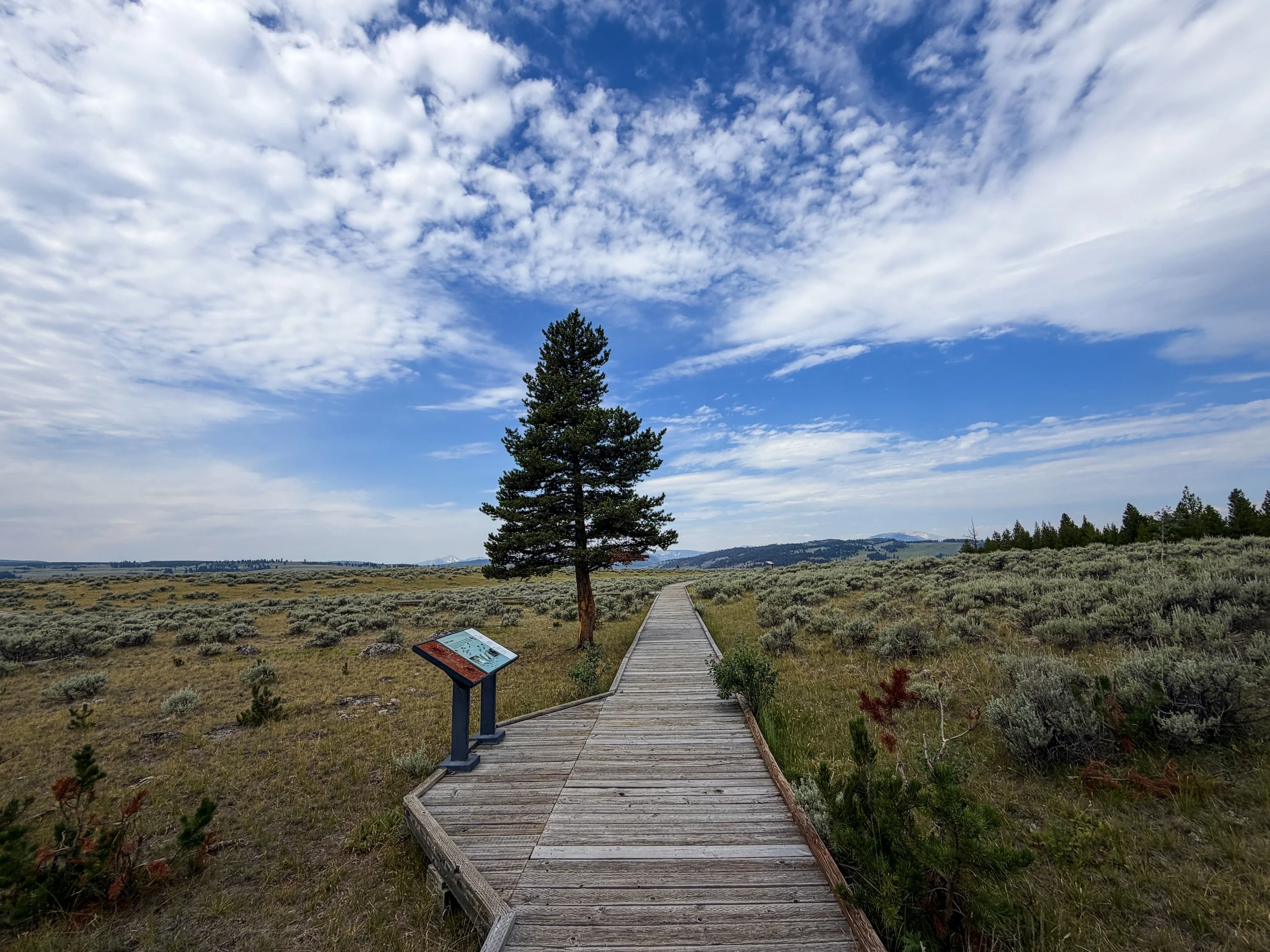 Forces of the Northern Range Trail Yellowstone National Park Wyoming