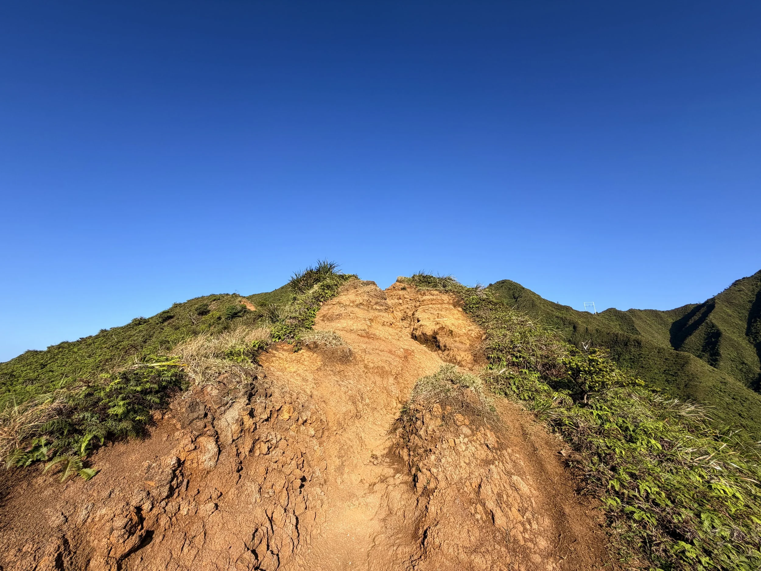 Moanalua Middle Ridge Trail Back Way to the Stairway to Heaven Oahu Hawaii