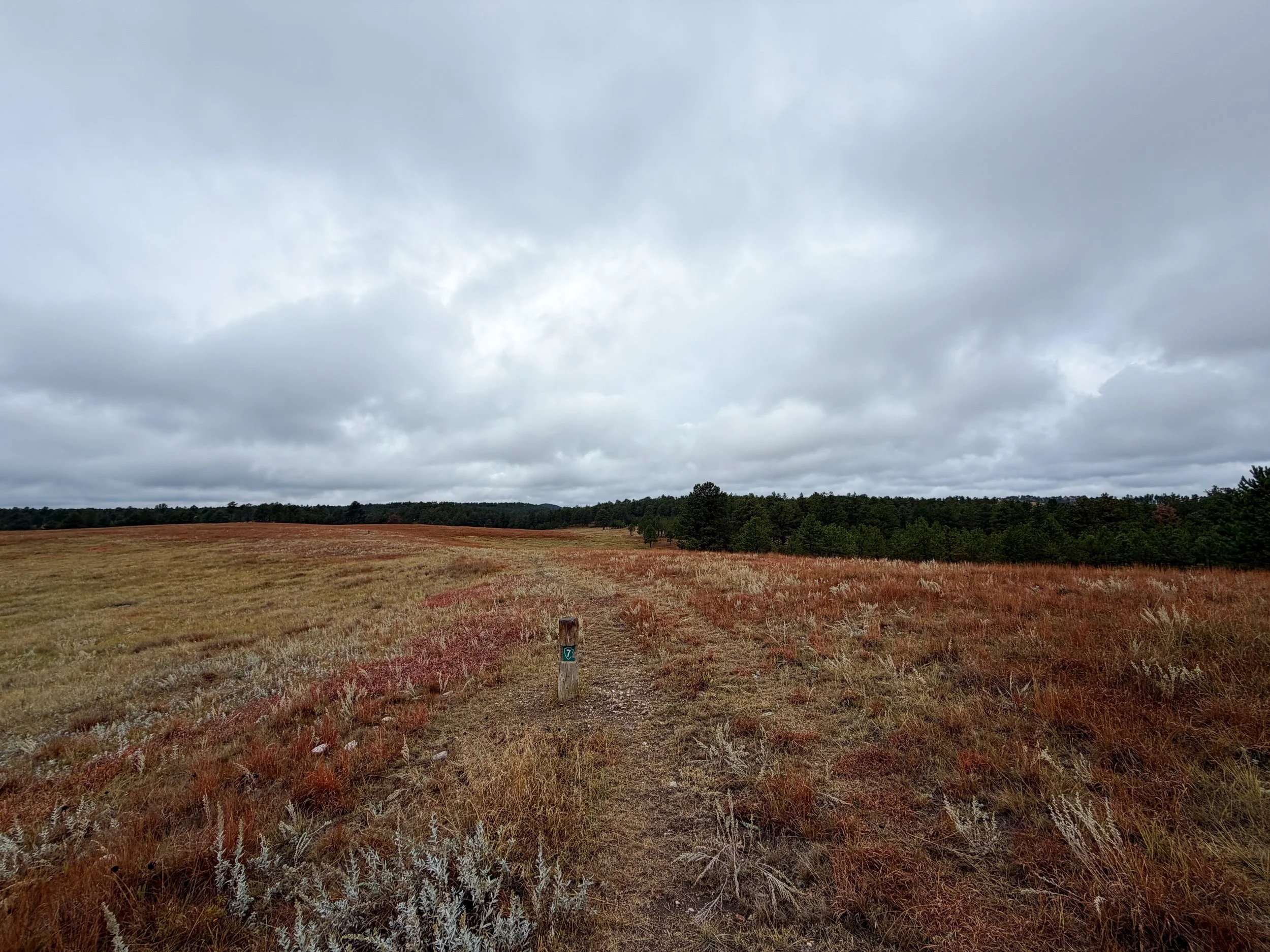 Highland Creek to Wind Cave Canyon Trail Wind Cave National Park South Dakota