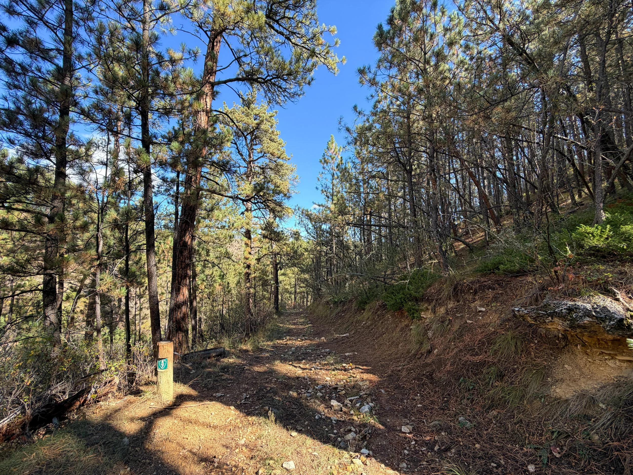 Lookout Point Loop Trail Wind Cave National Park South Dakota