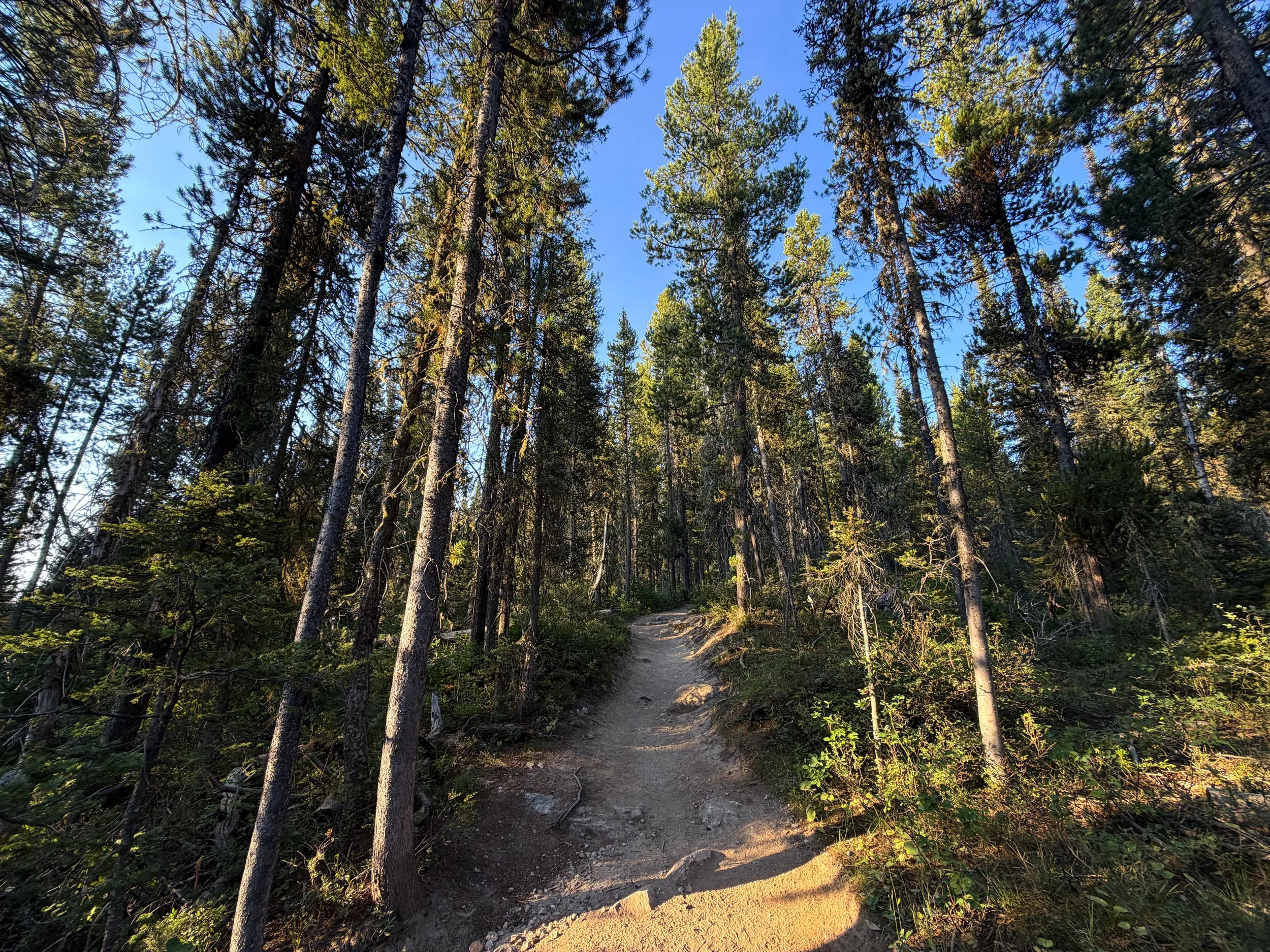 Delta Lake Trail Grand Teton National Park Wyoming