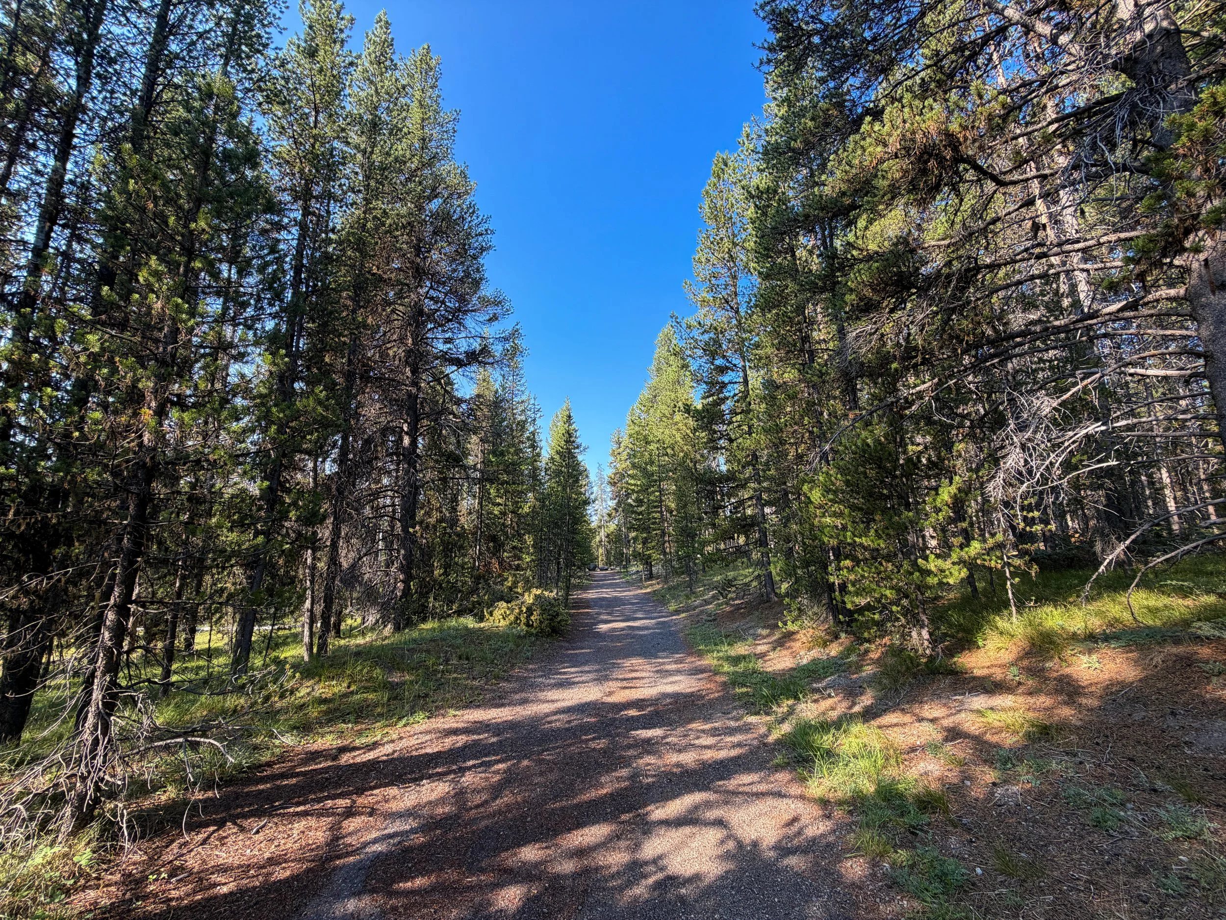 Natural Bridge Trail Yellowstone National Park Wyoming