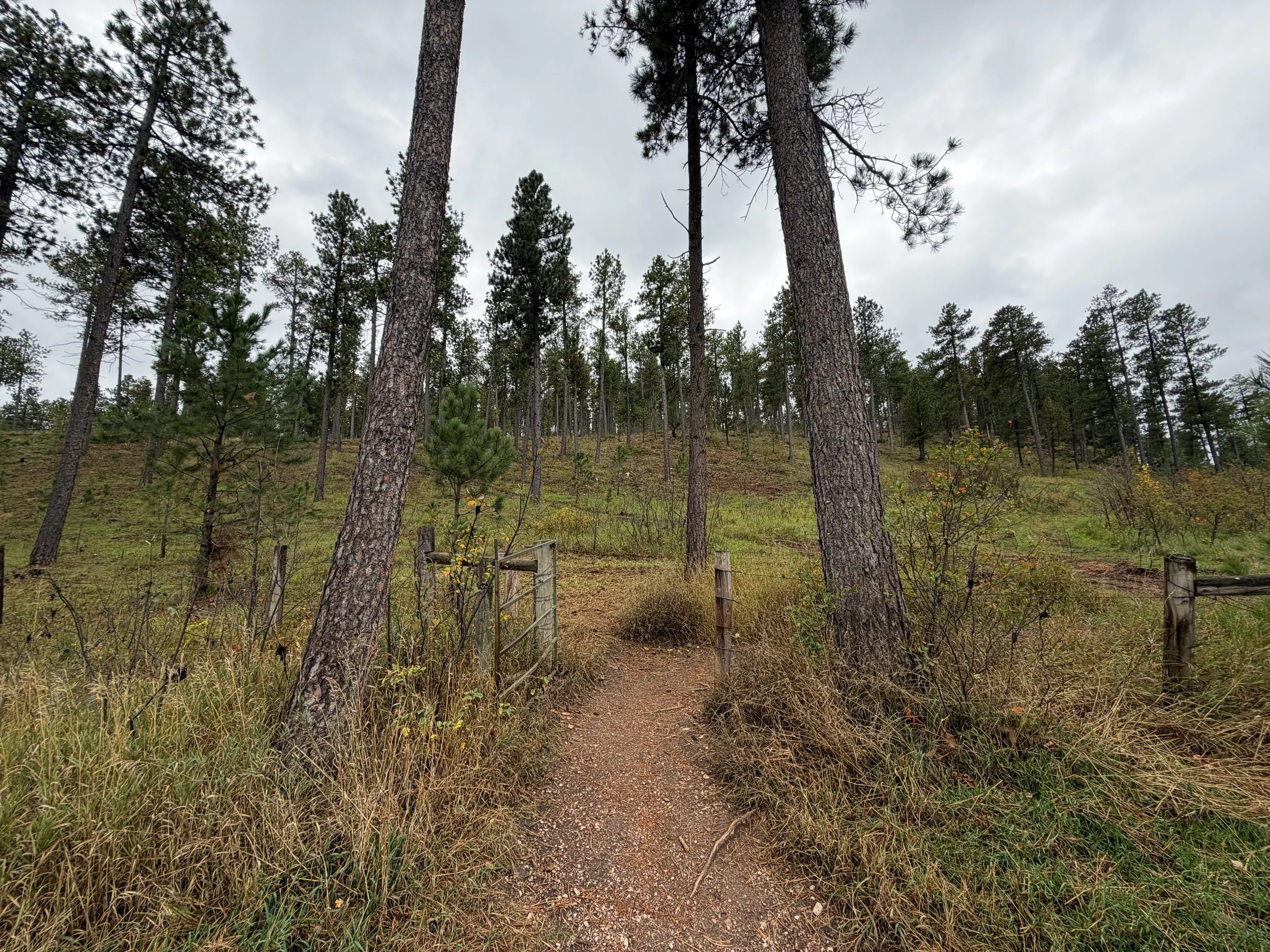 Buzzards Roost Trail Black Hills South Dakota