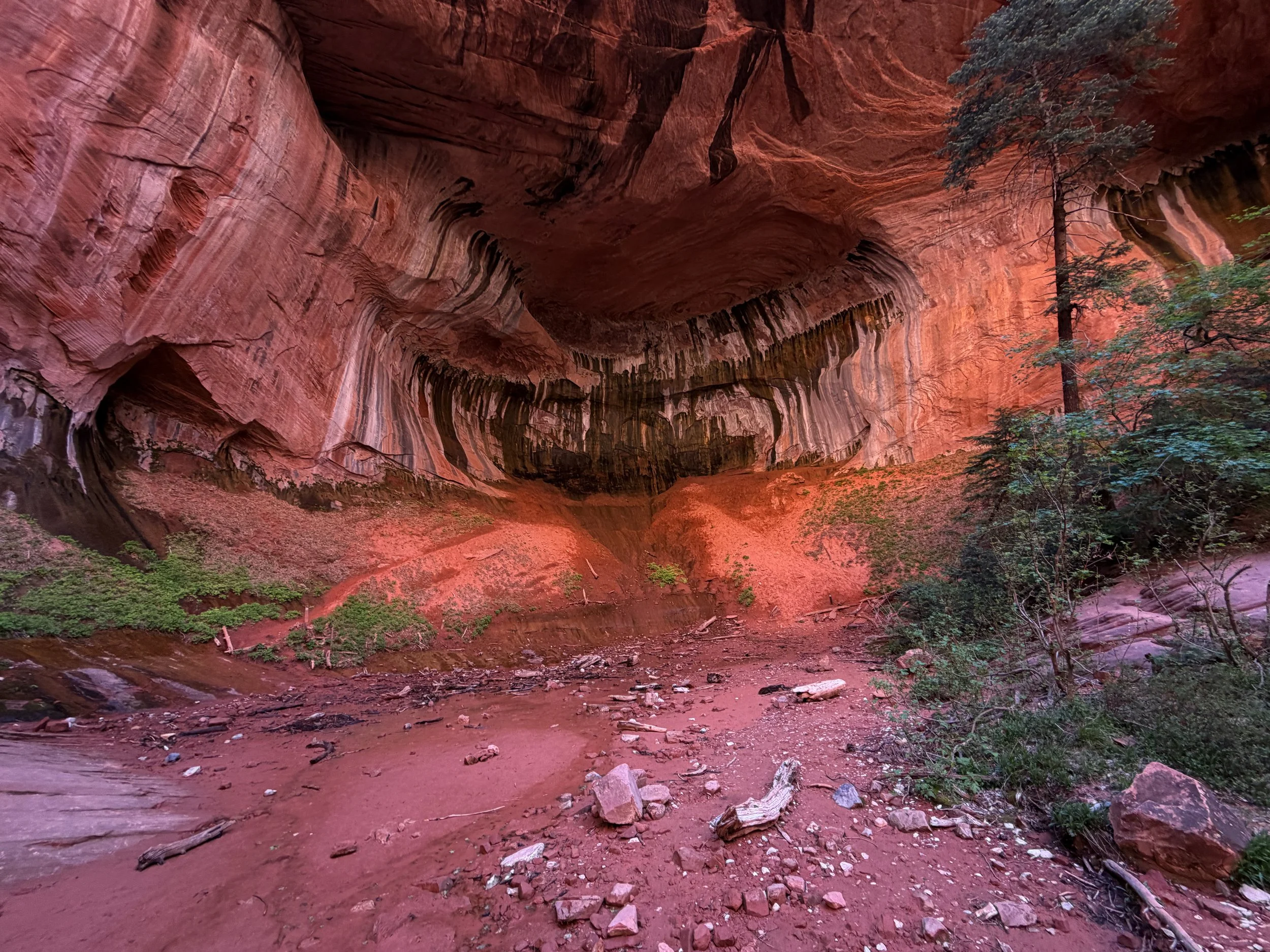 Double Arch Alcove Middle Taylor Creek Trail Zion National Park Utah