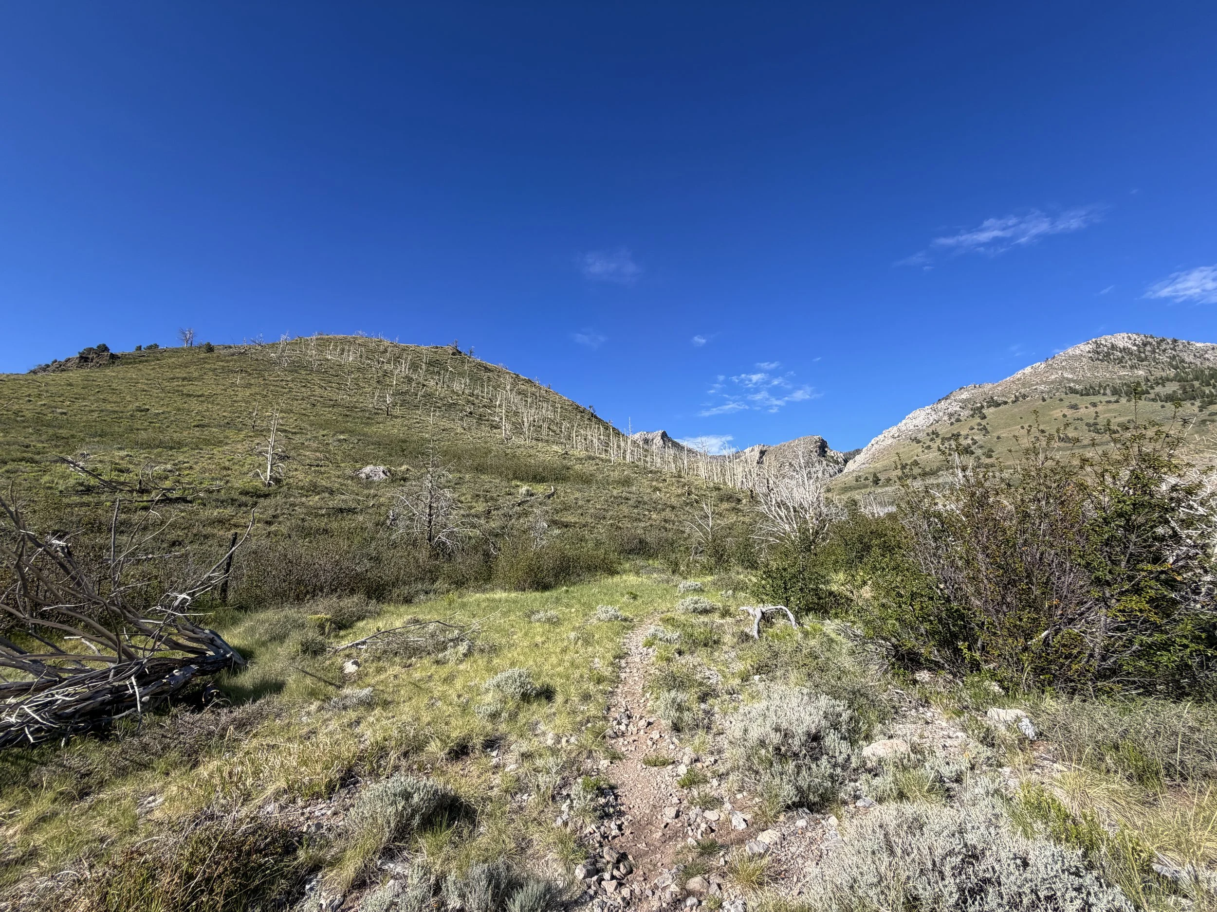 Lexington Arch Hike Great Basin National Park Nevada