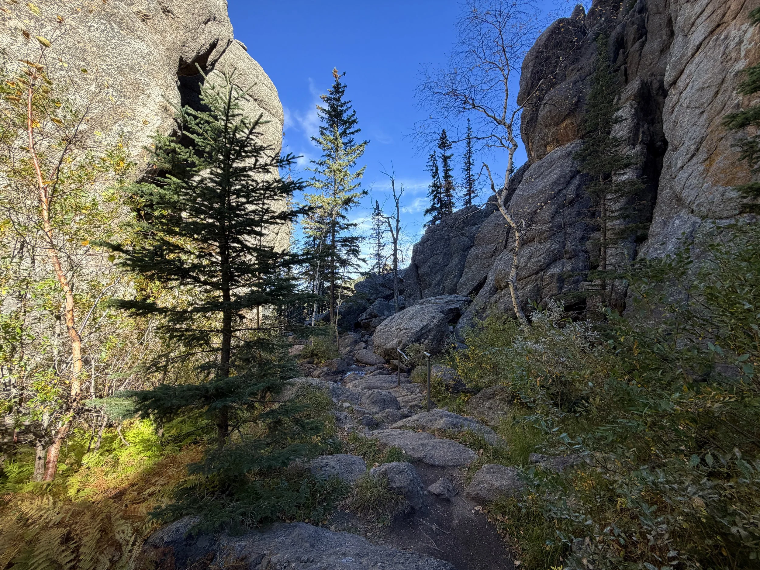 Sunday Gulch Trail Custer State Park Black Hills South Dakota