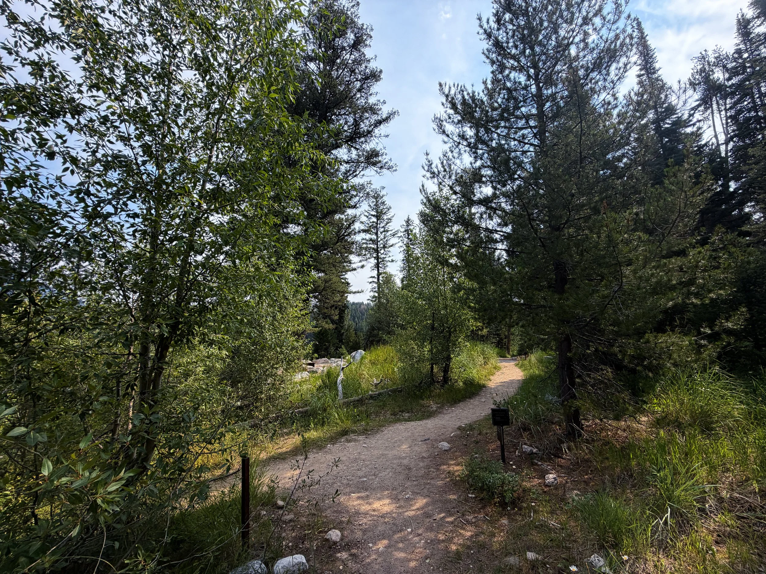 Aspen Ridge Trail Grand Teton National Park Wyoming