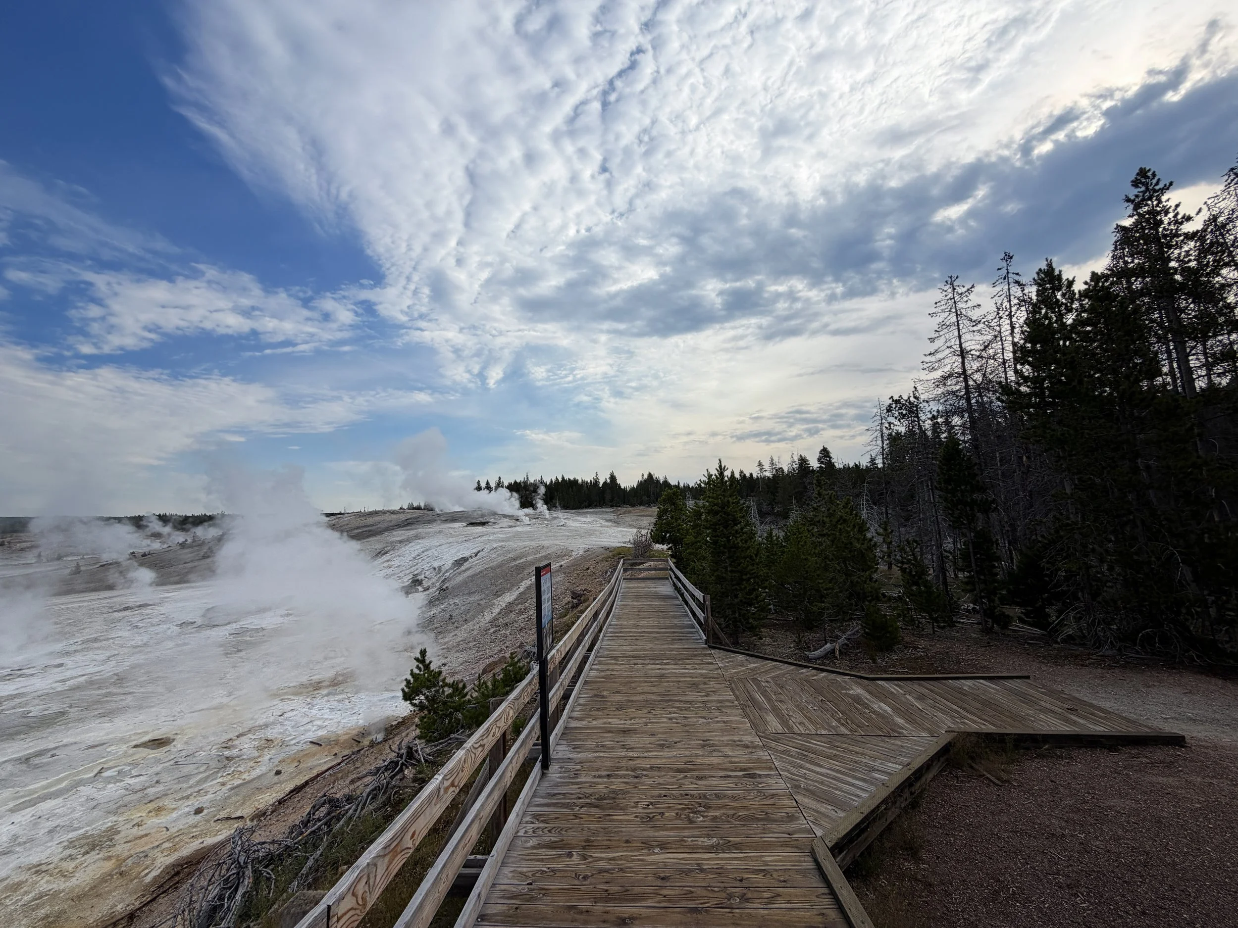 Porcelain Basin Norris Geyser Basin Trail Yellowstone National Park Wyoming