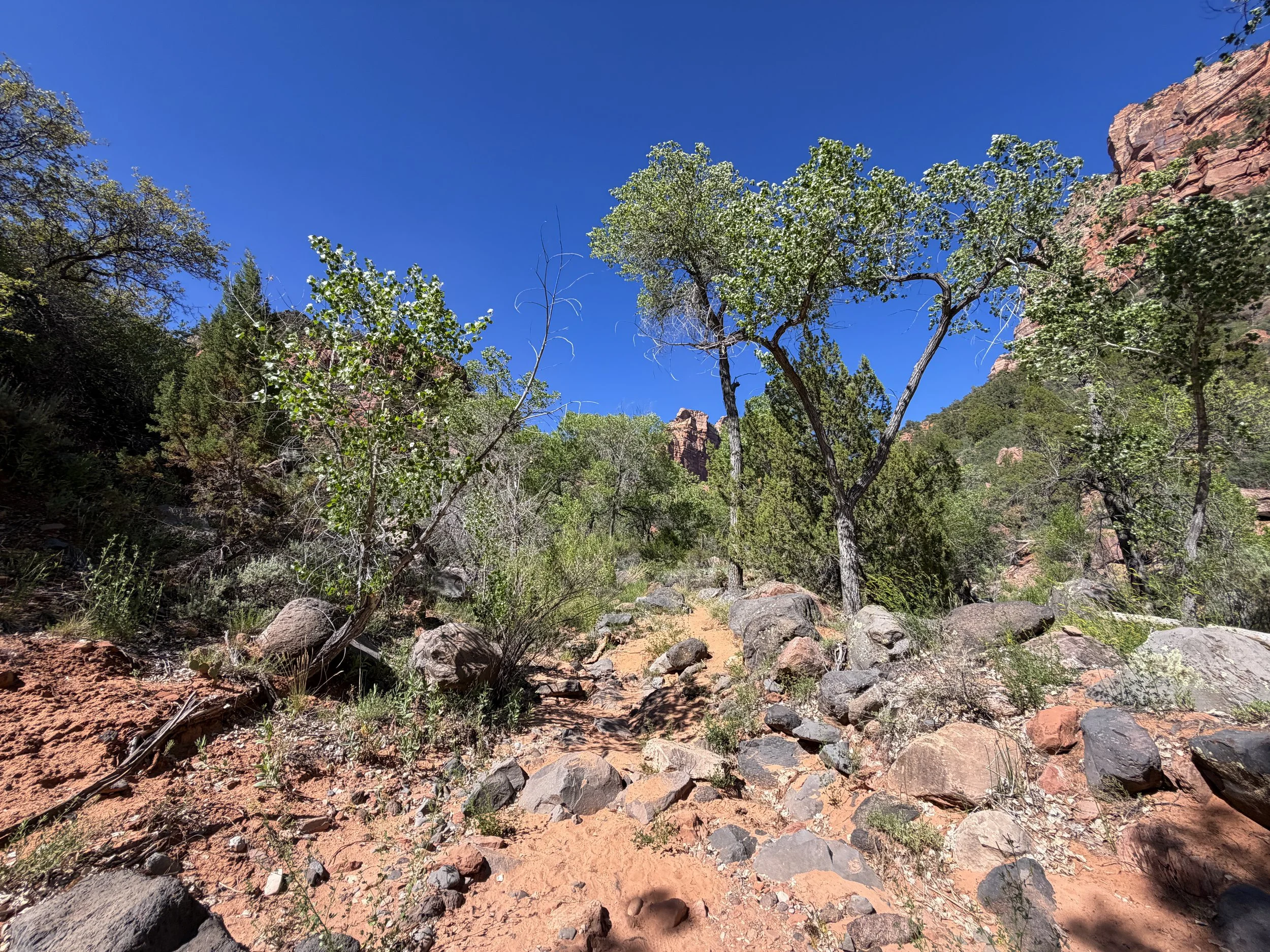 Subway Hike Bottom–Up Route Zion National Park Utah
