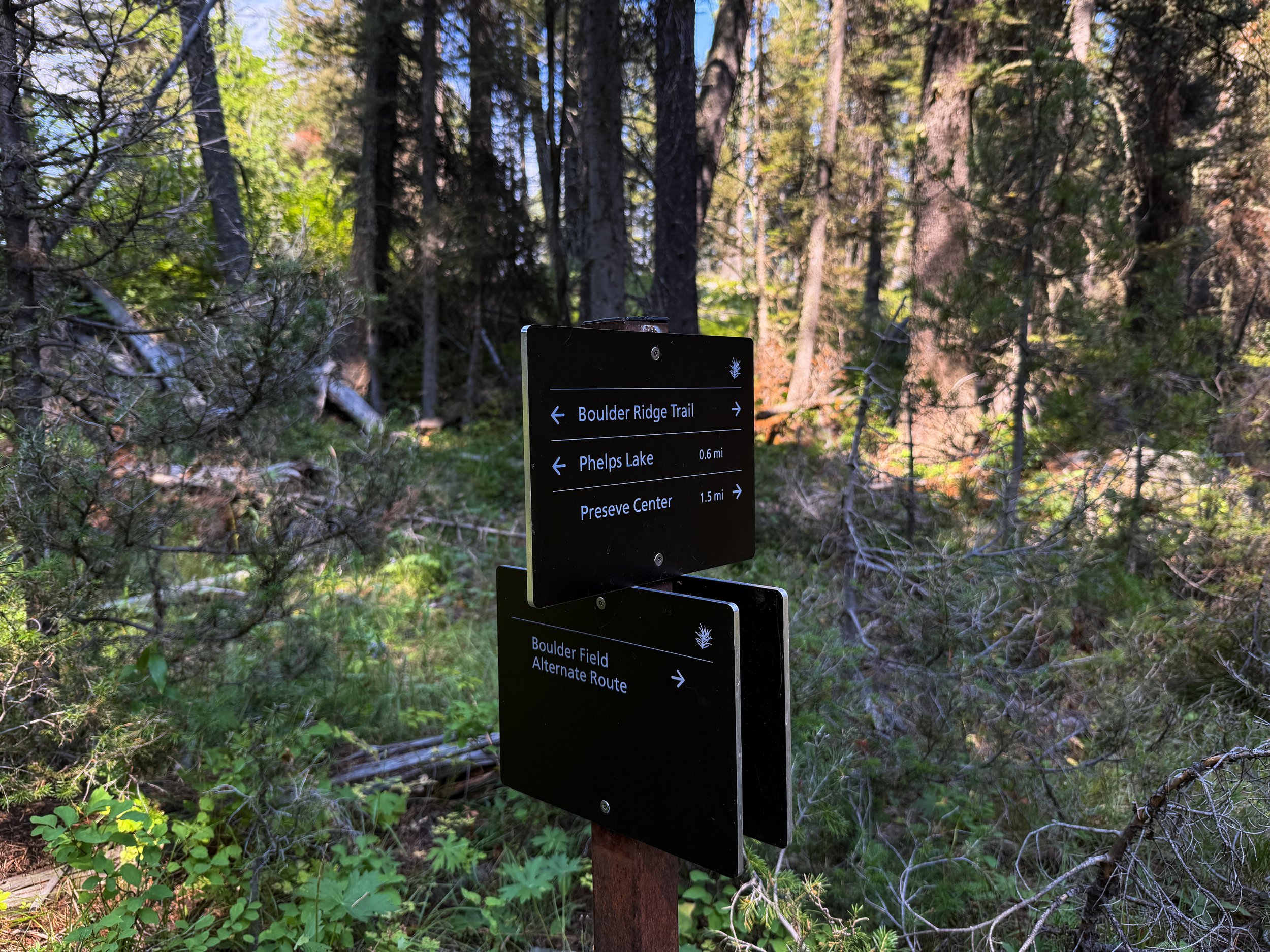 Boulder Field Trail Grand Teton National Park Wyoming
