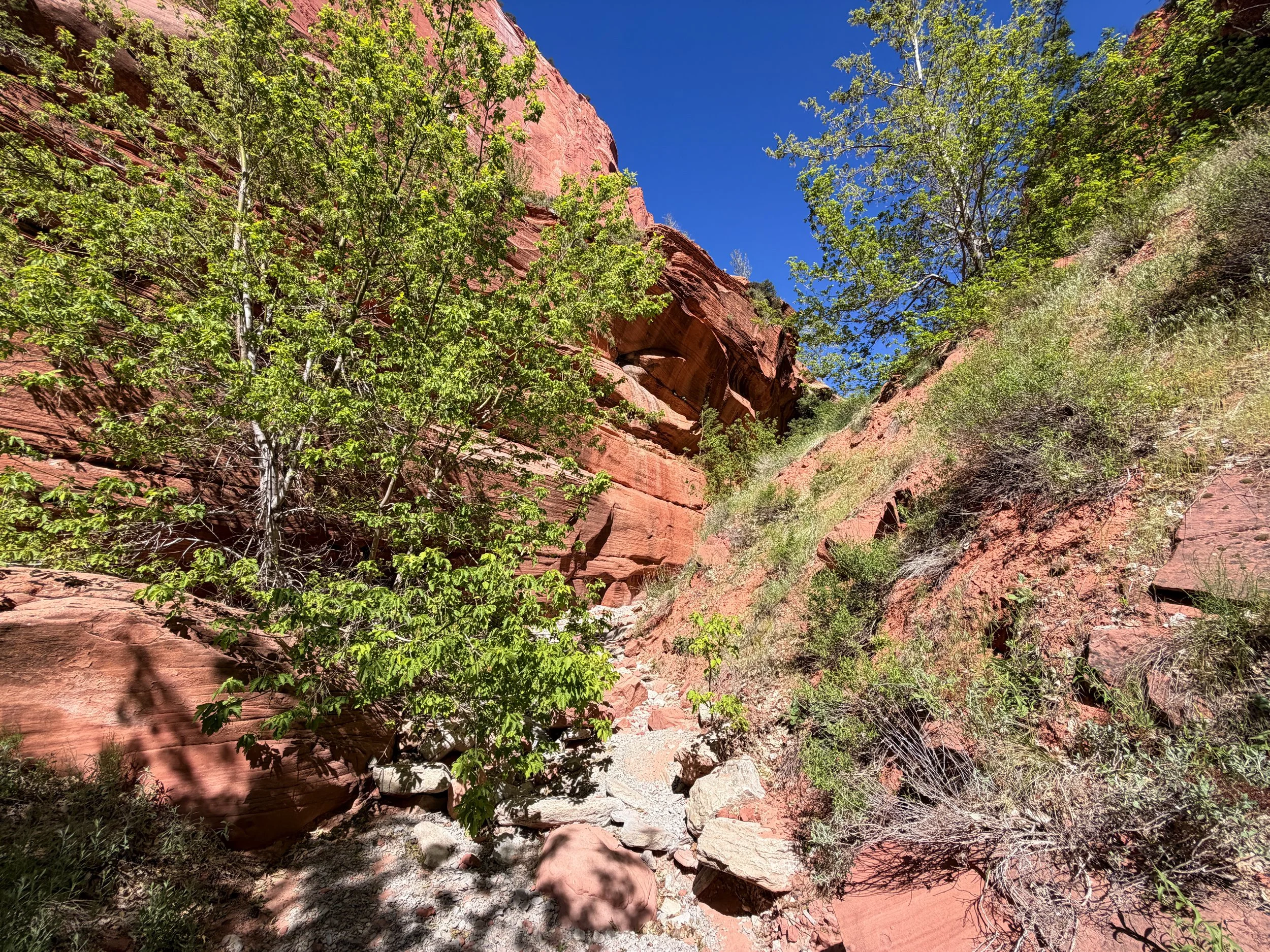 Taylor Creek Trail Zion National Park Utah