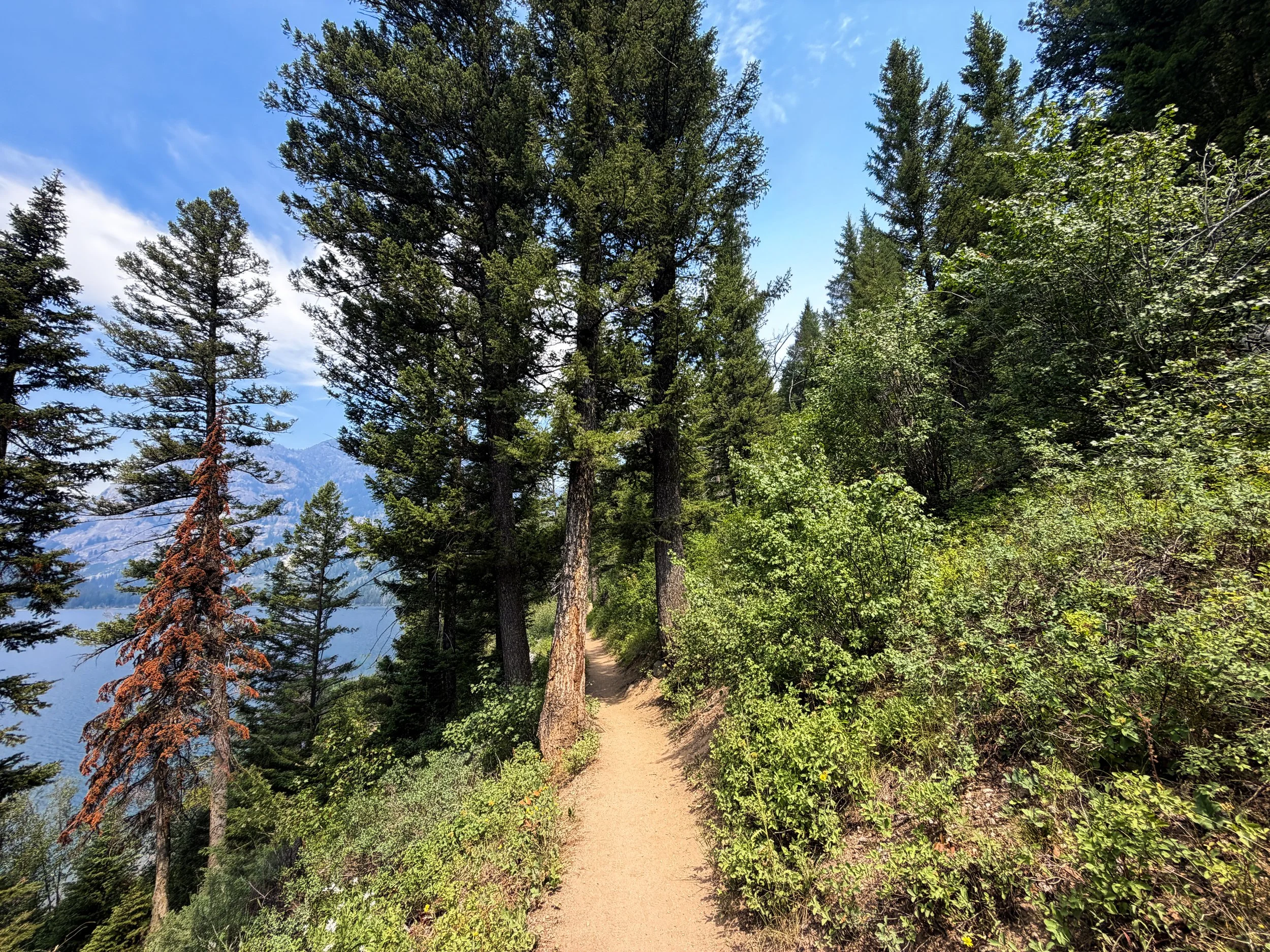 Phelps Lake Trail to Cliff Jumping Rock Grand Teton National Park Wyoming