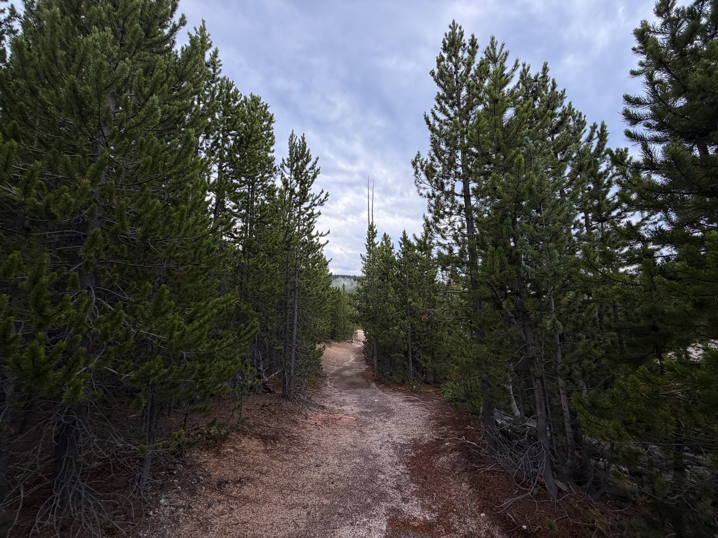 Norris Geyser Basin Hike Yellowstone National Park Wyoming