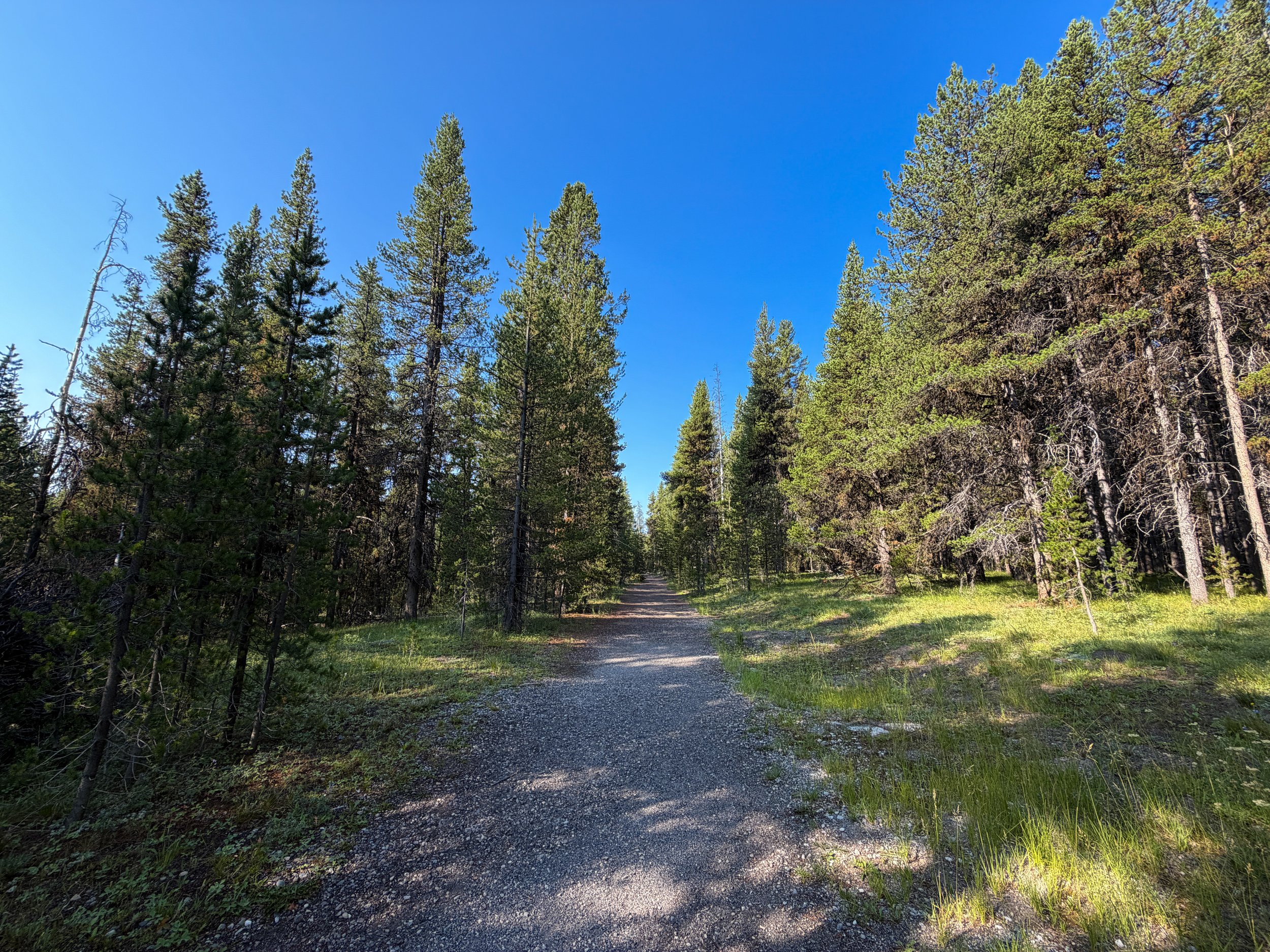 Natural Bridge Trail Yellowstone National Park Wyoming