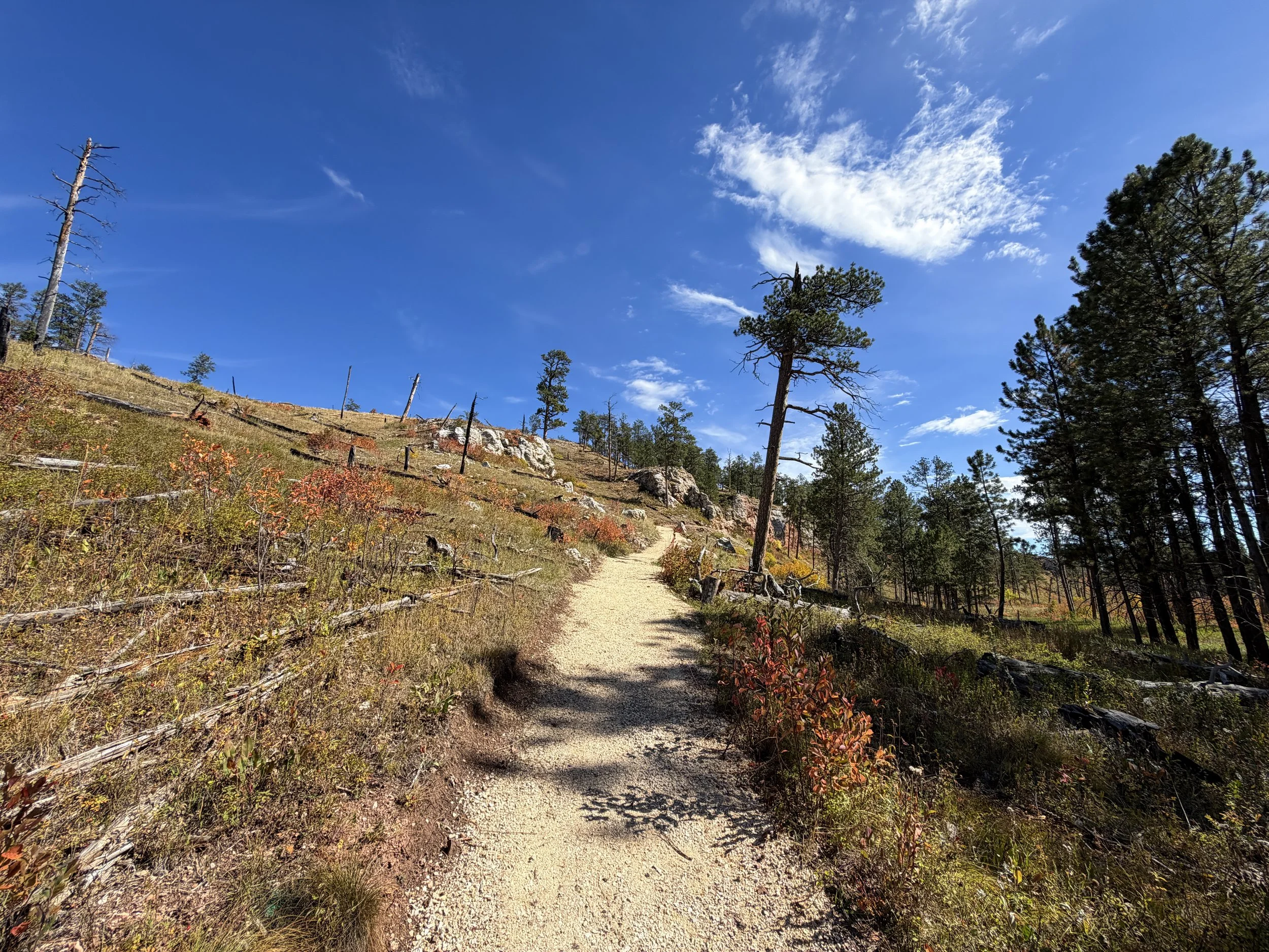 Canyons Trail Jewel Cave National Monument Black Hills South Dakota
